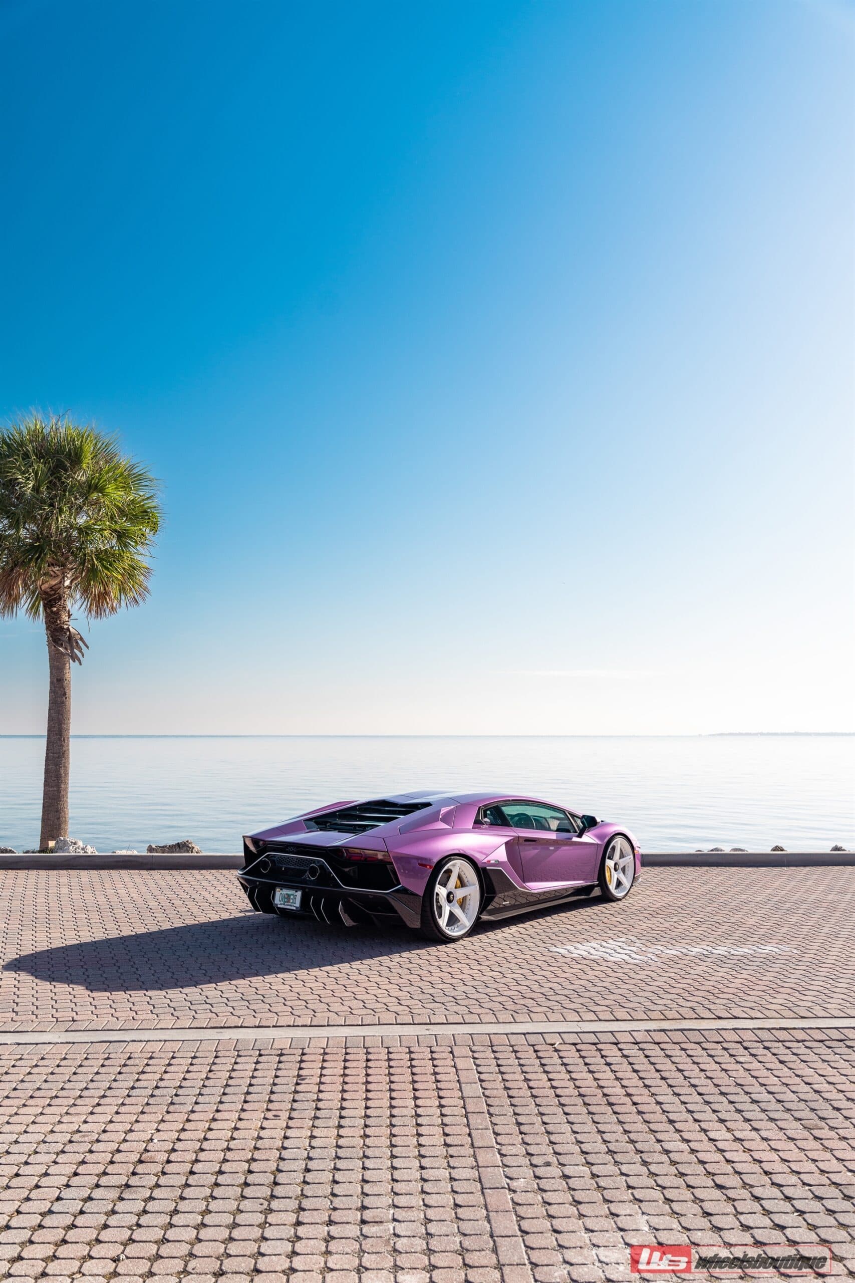 Photo 23 of ANRKY RS5.3 | Lamborghini Aventador Ultimae