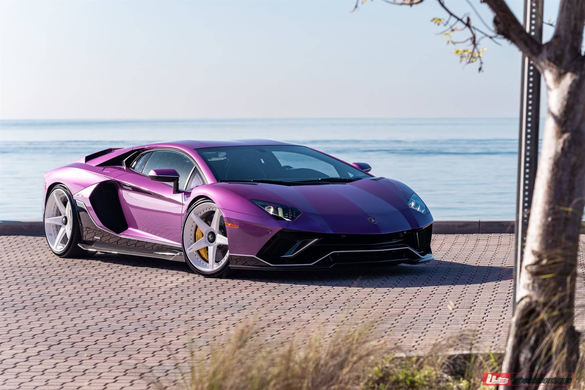 Photo 39 of ANRKY RS5.3 | Lamborghini Aventador Ultimae