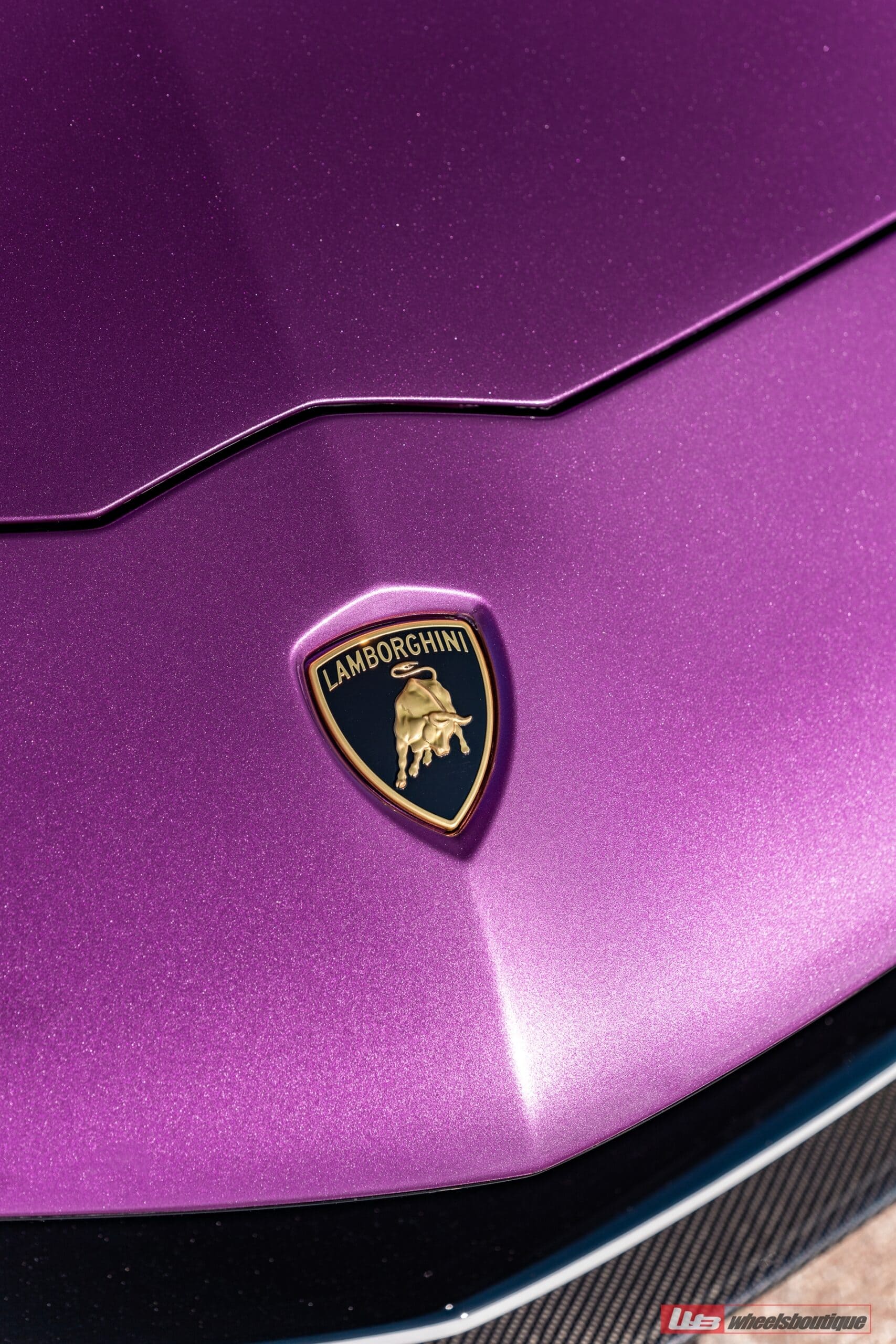 Photo 43 of ANRKY RS5.3 | Lamborghini Aventador Ultimae