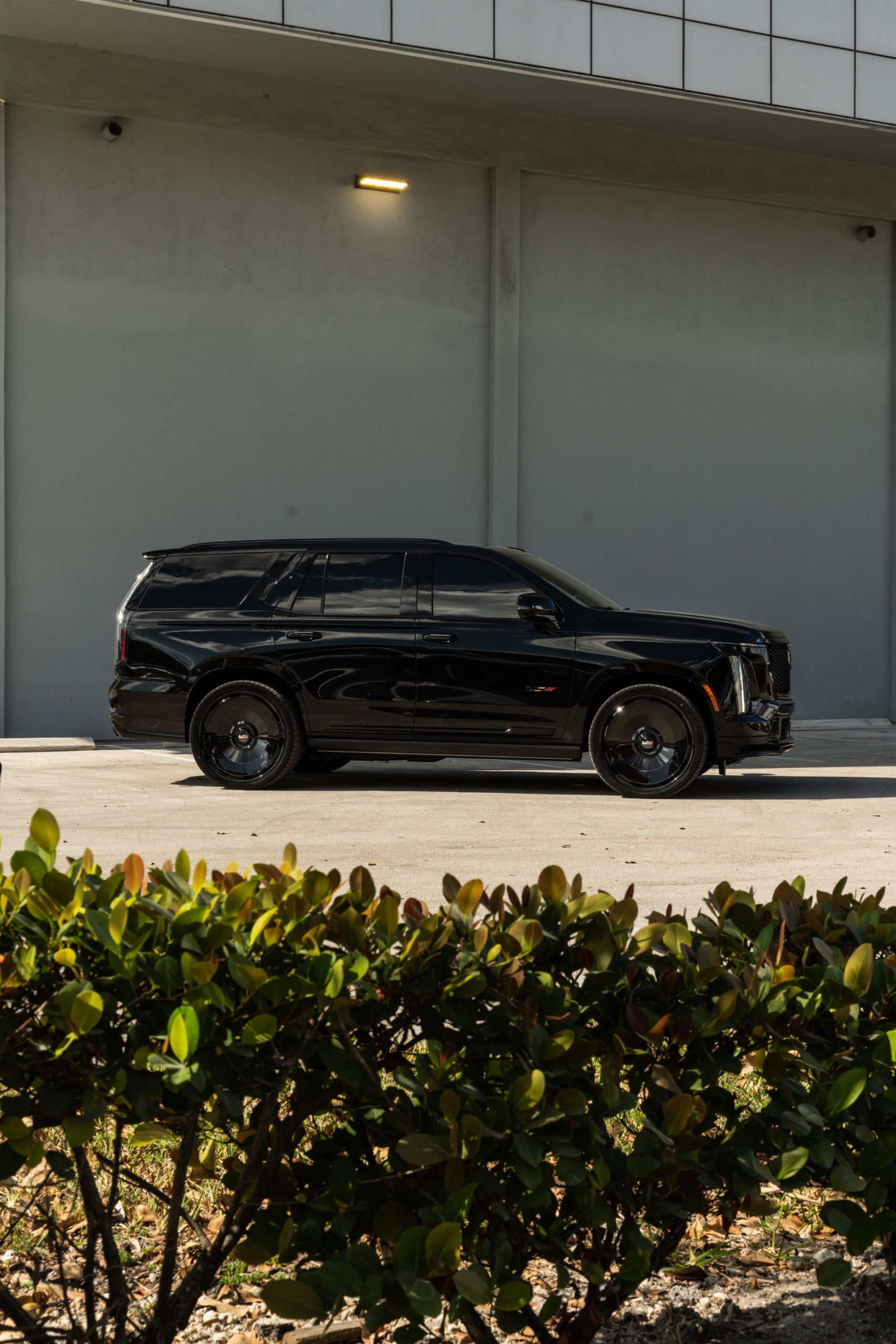 Cadillac Escalade | Black Raven | on Avant Garde AGL93 | Gloss Black
