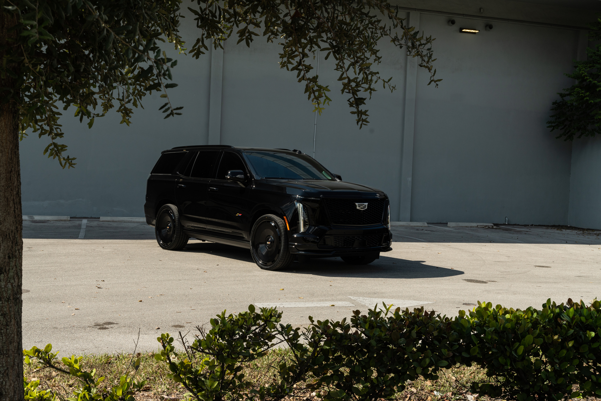 Cadillac Escalade | Black Raven | on Avant Garde AGL93 | Gloss Black