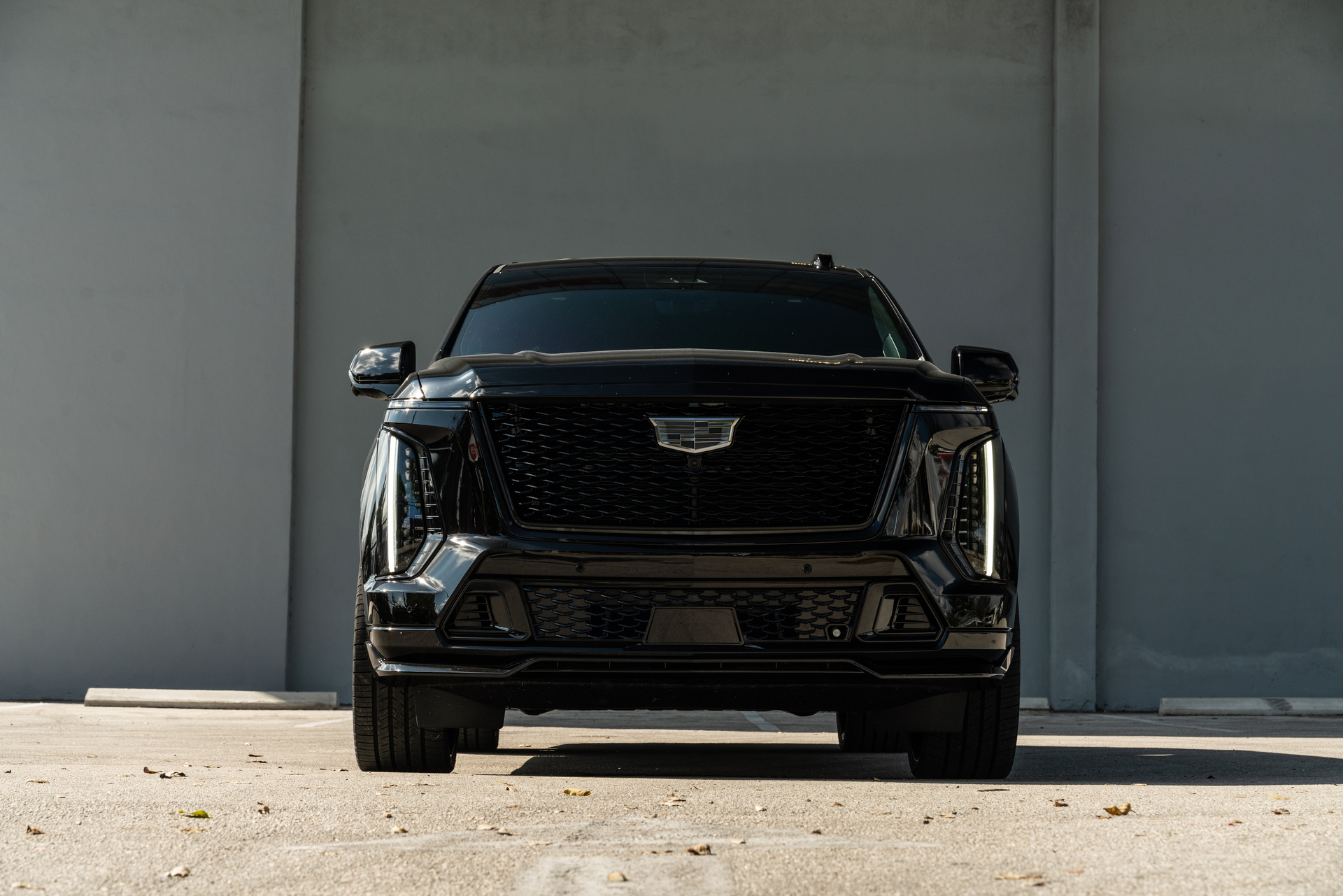 Cadillac Escalade | Black Raven | on Avant Garde AGL93 | Gloss Black