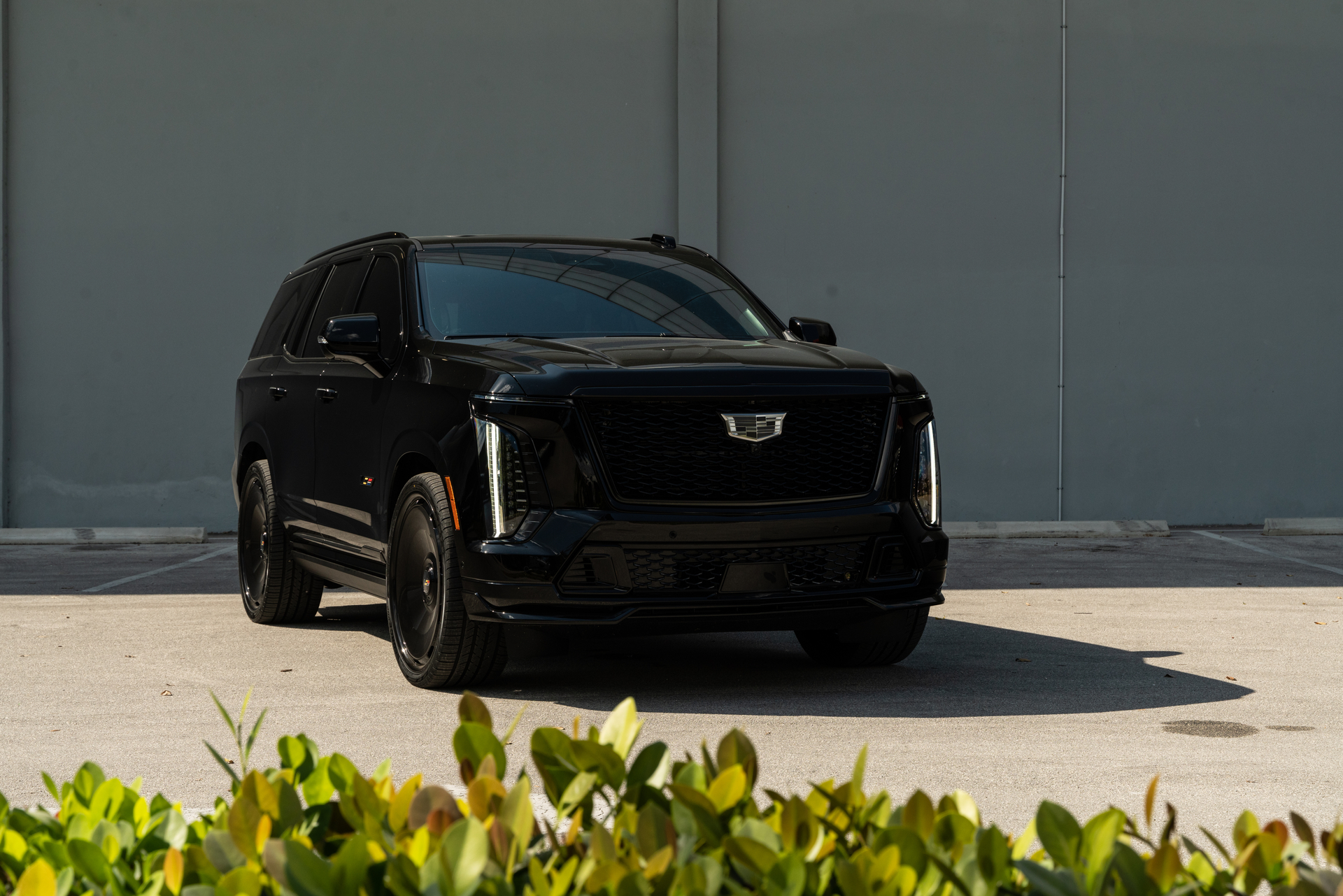 Cadillac Escalade | Black Raven | on Avant Garde AGL93 | Gloss Black