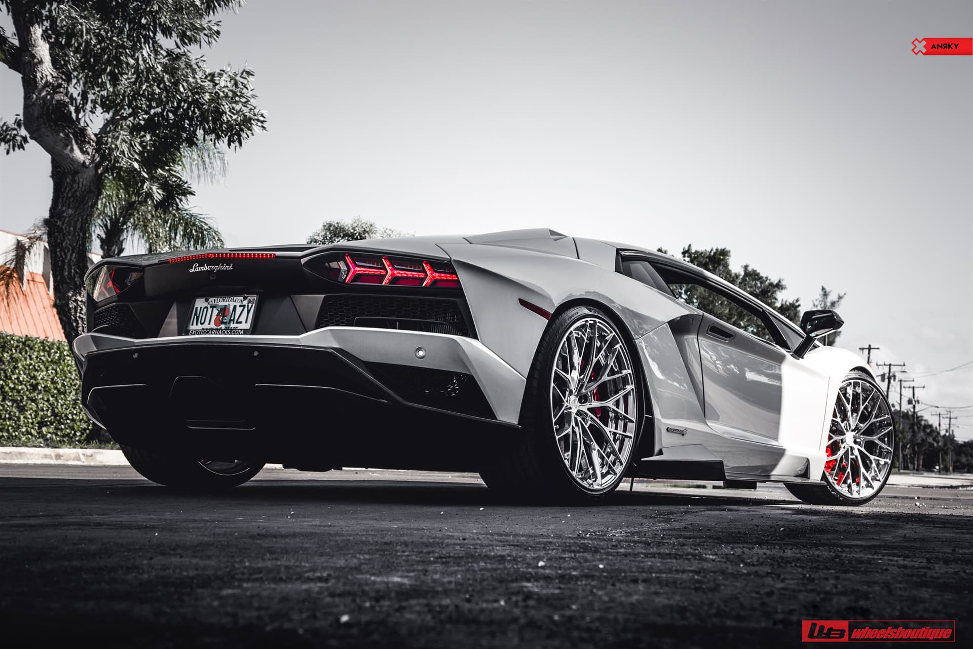 Photo 21 of ANRKY AN20 | Lamborghini Aventador S