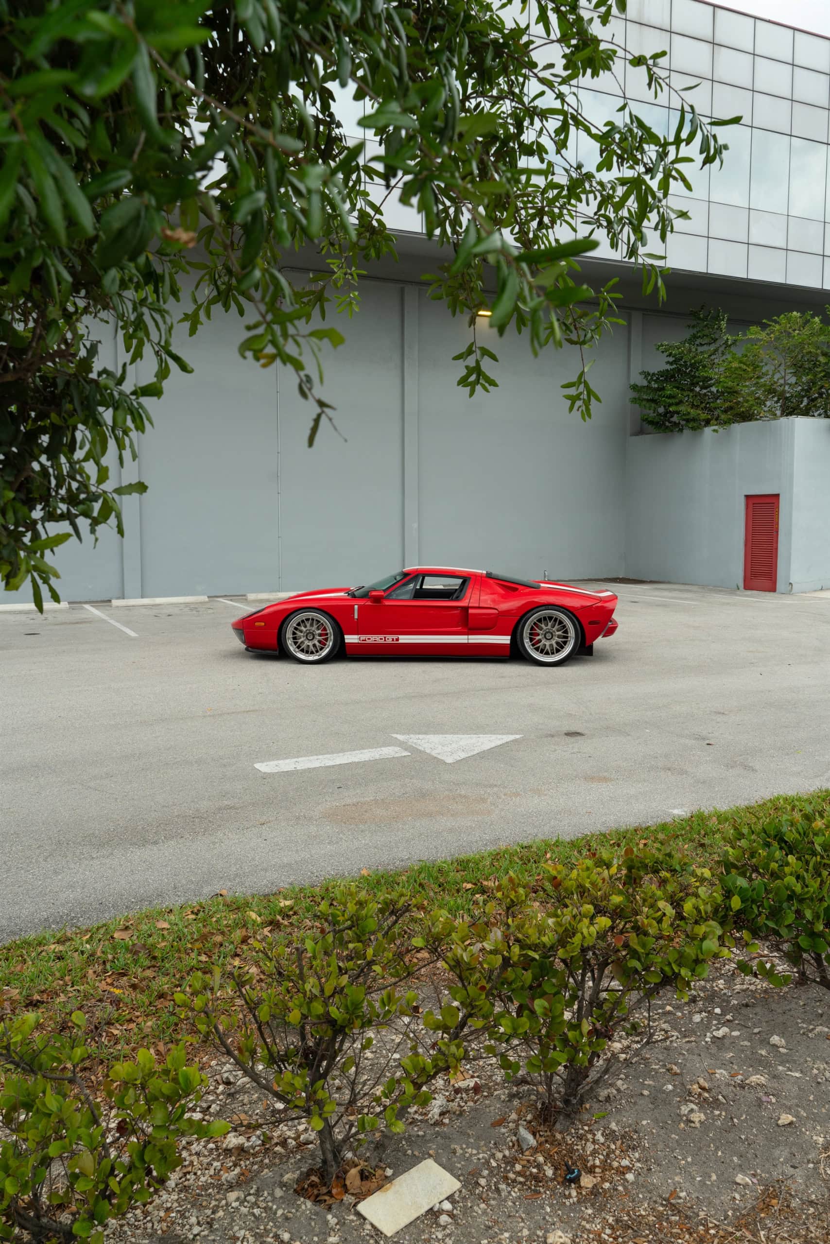 Ford GT MK1 | Ruby Red | on ANRKY RS1 | Satin White Gold
