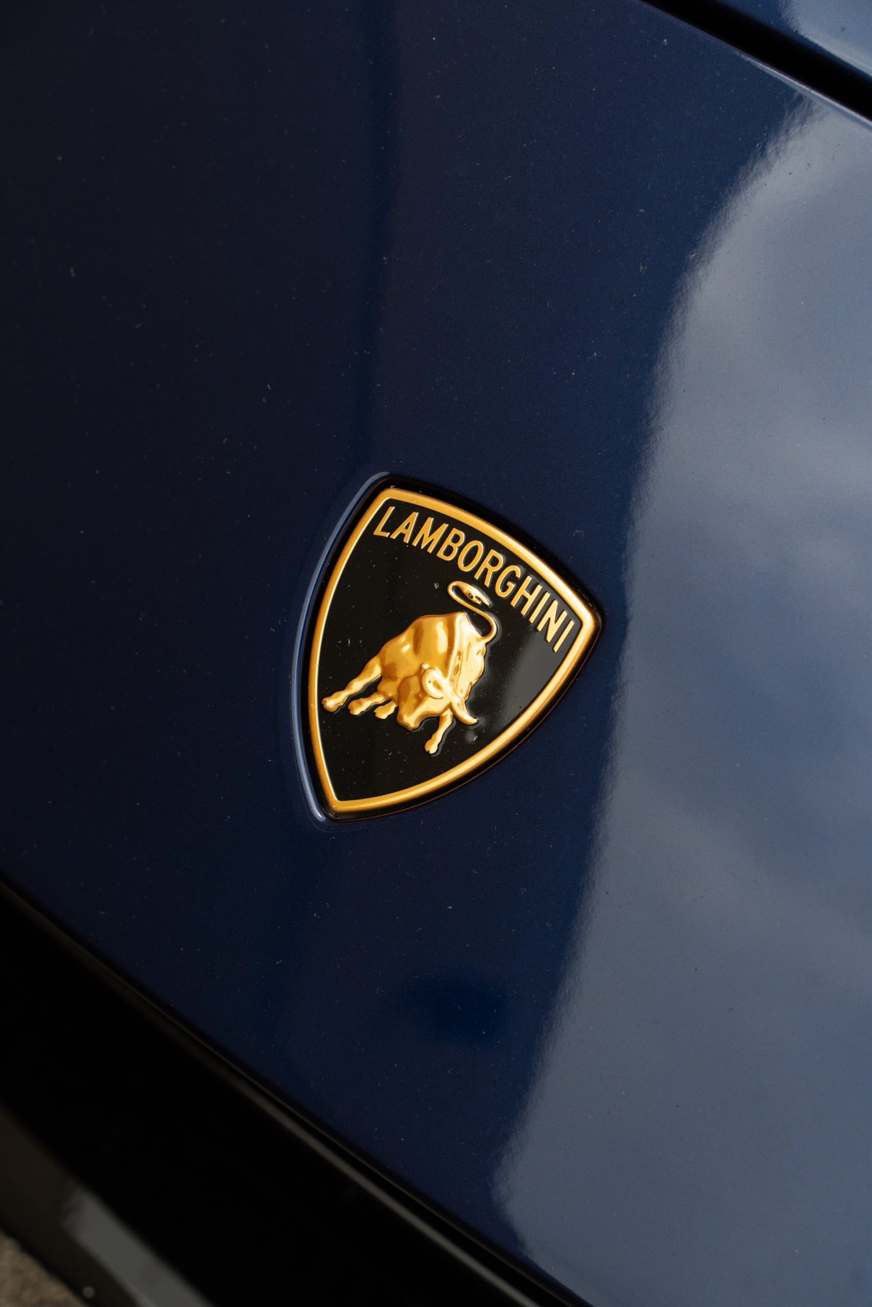 Photo 56 of Lamborghini Huracan Tecnica | Blu Grifo | on ANRKY S3-X0 | Satin Bronze
