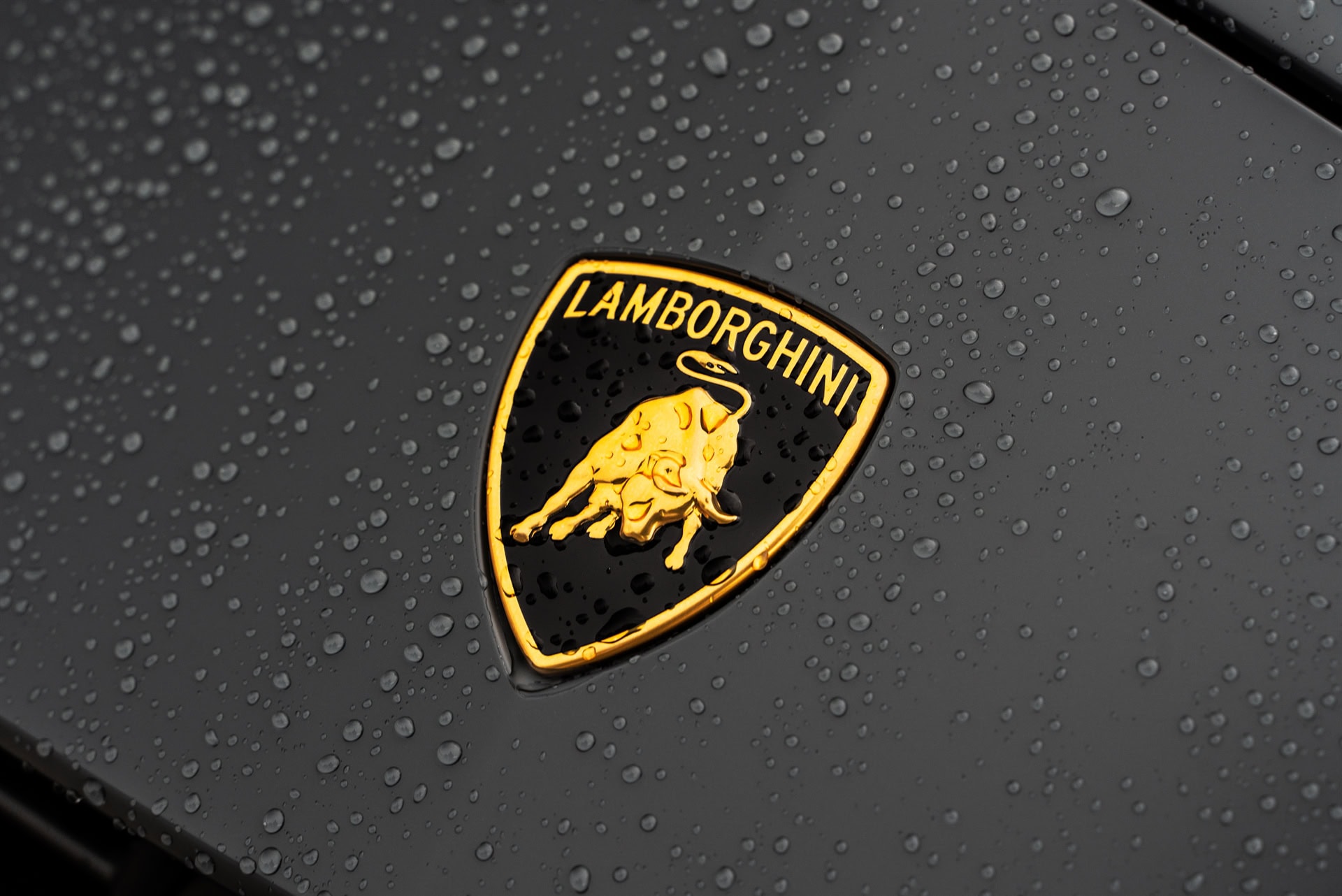 Lamborghini Urus Performante | Grigio Telesto Matt | on 1886 S009 | Satin Black