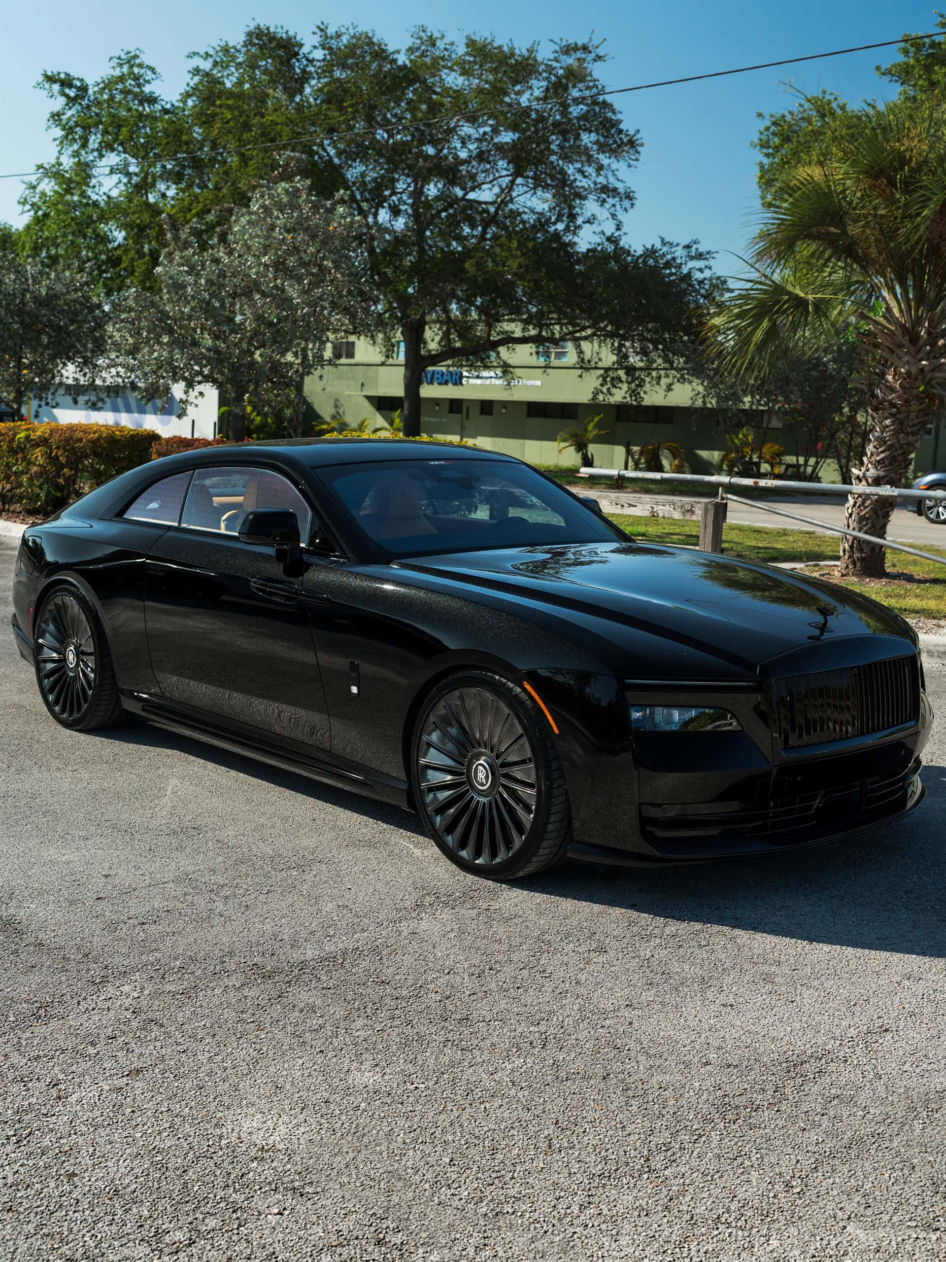 Photo 25 of a Rolls Royce Spectre | 1886 G100