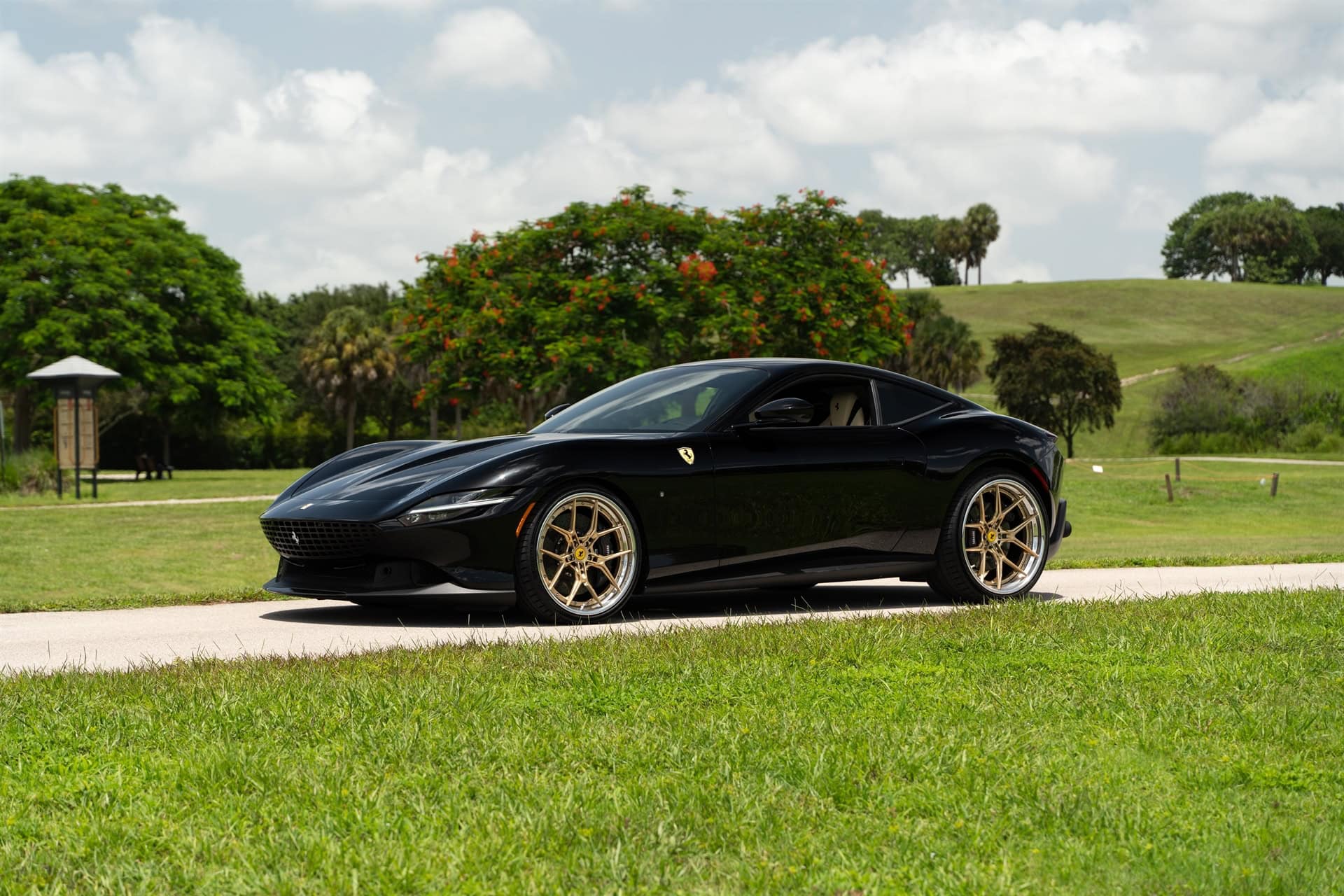 AL13 R60 | Ferrari Roma