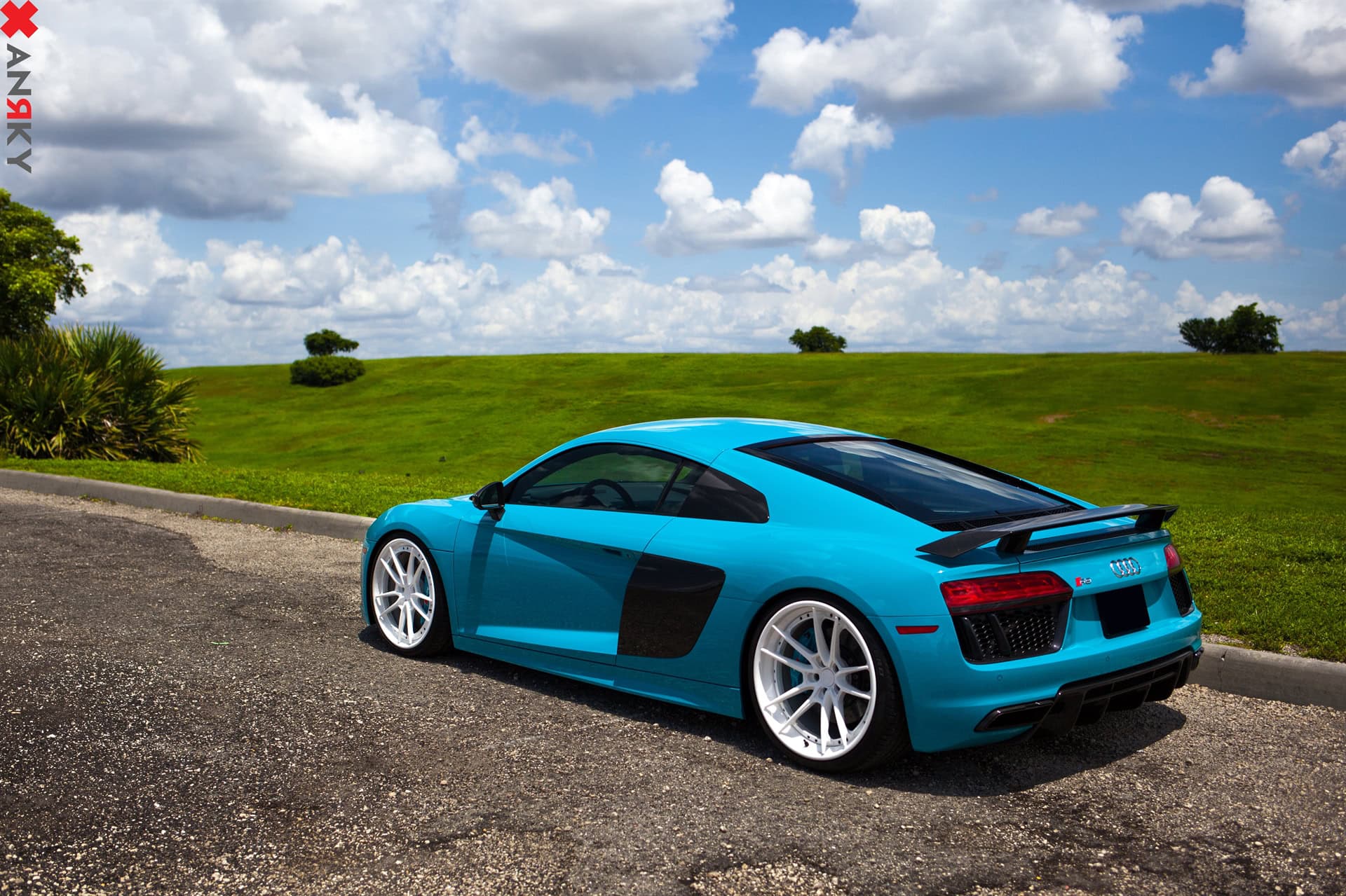Photo 25 of ANRKY AN34 | Audi R8 V10 Plus