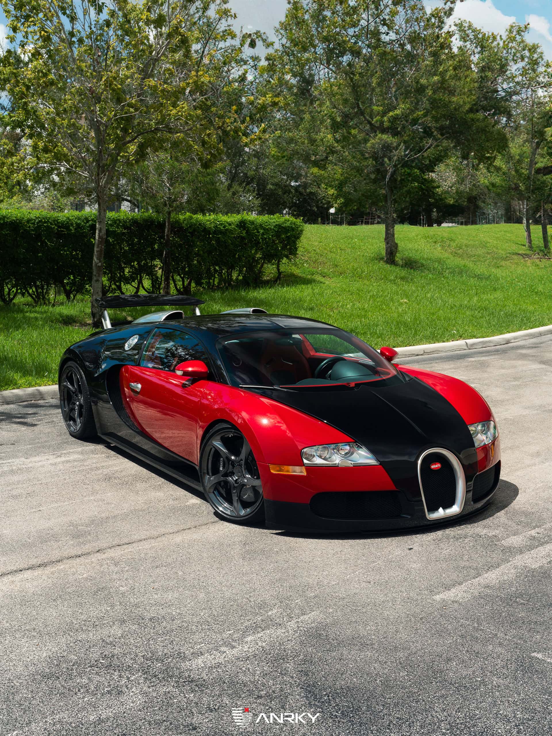 BUGATTI VEYRON | on ANRKY XR-105 | Mirror Polished Smoked
