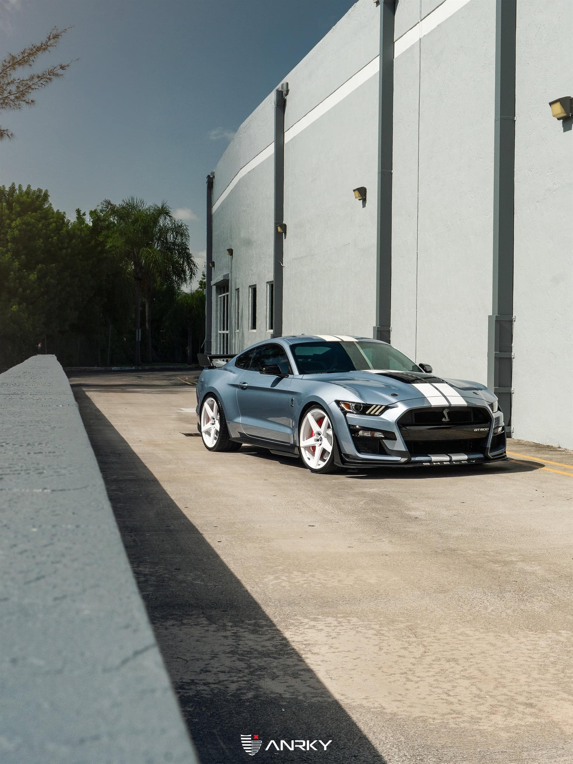 Ford Shelby GT500 – RETROSeries RS5.1