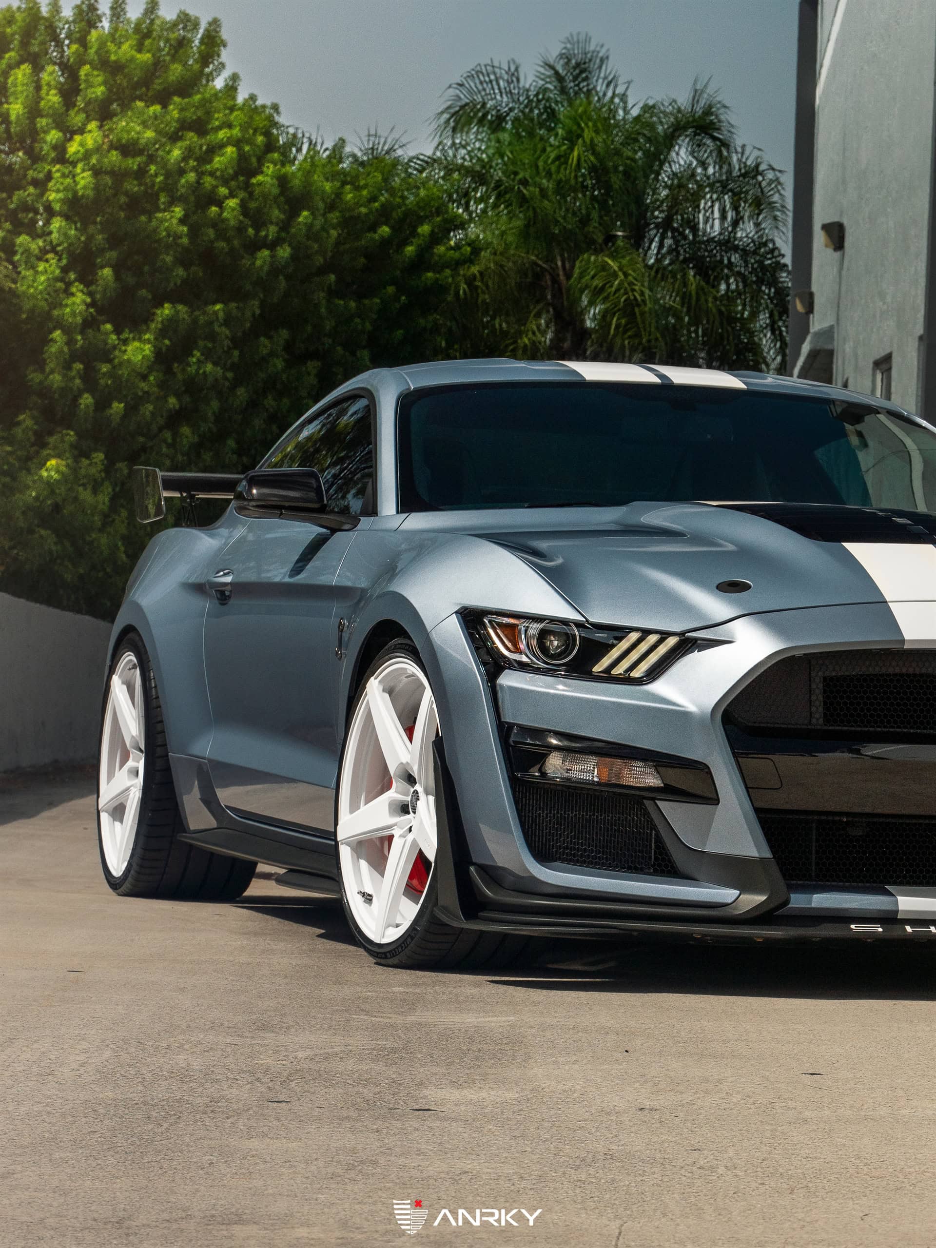 Photo 21 of Ford Shelby GT500 – RETROSeries RS5.1