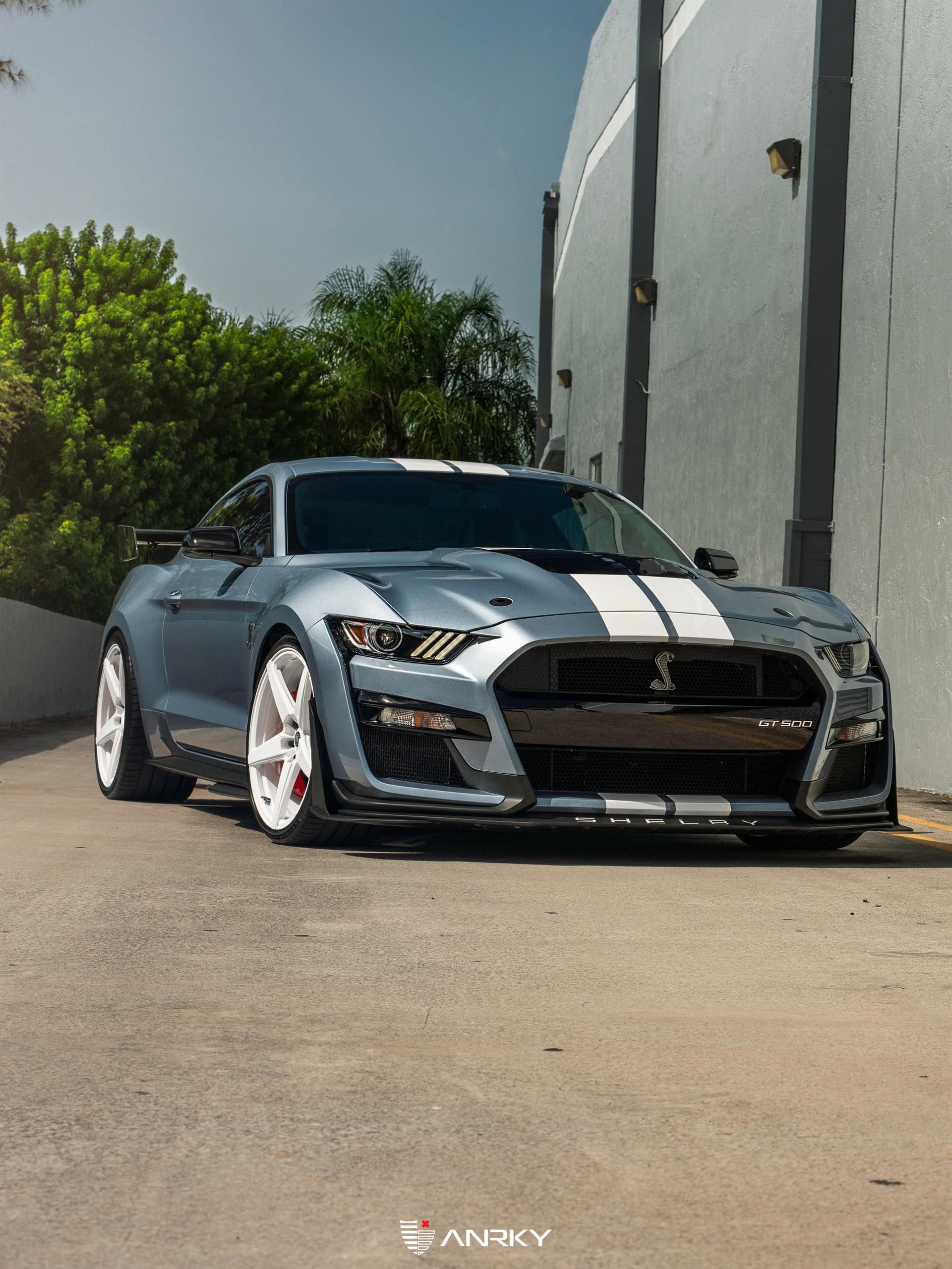 Photo 25 of Ford Shelby GT500 – RETROSeries RS5.1