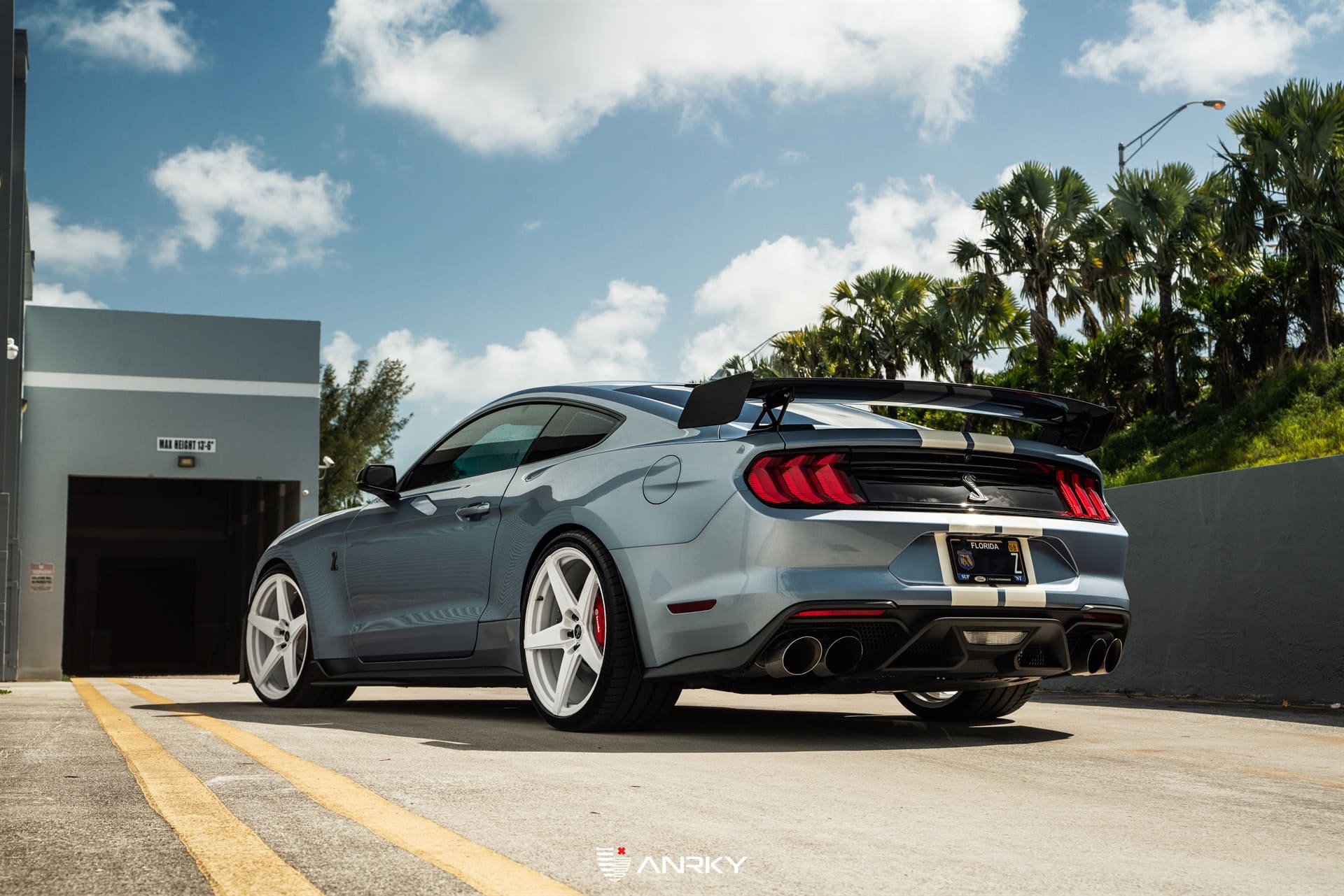 Photo 26 of Ford Shelby GT500 – RETROSeries RS5.1