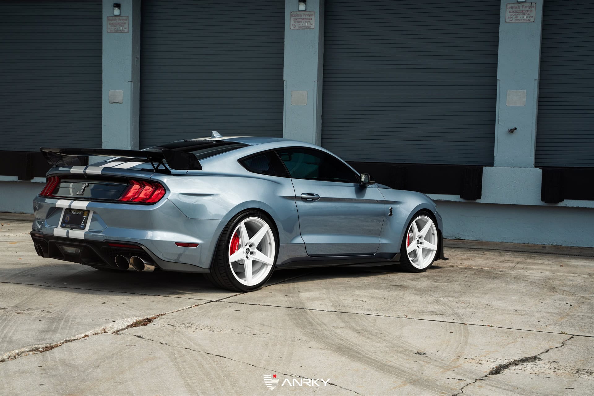 Photo 27 of Ford Shelby GT500 – RETROSeries RS5.1