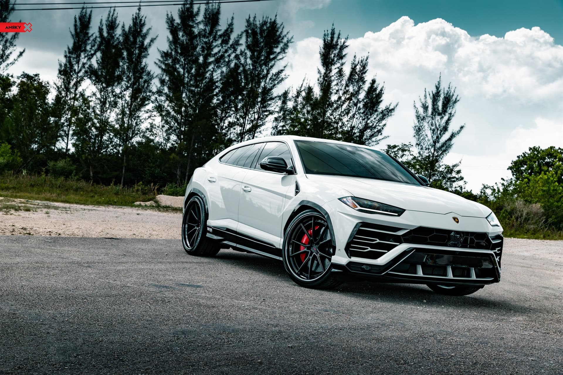 Photo 24 of Lamborghini Urus – AN32 SeriesTHREE