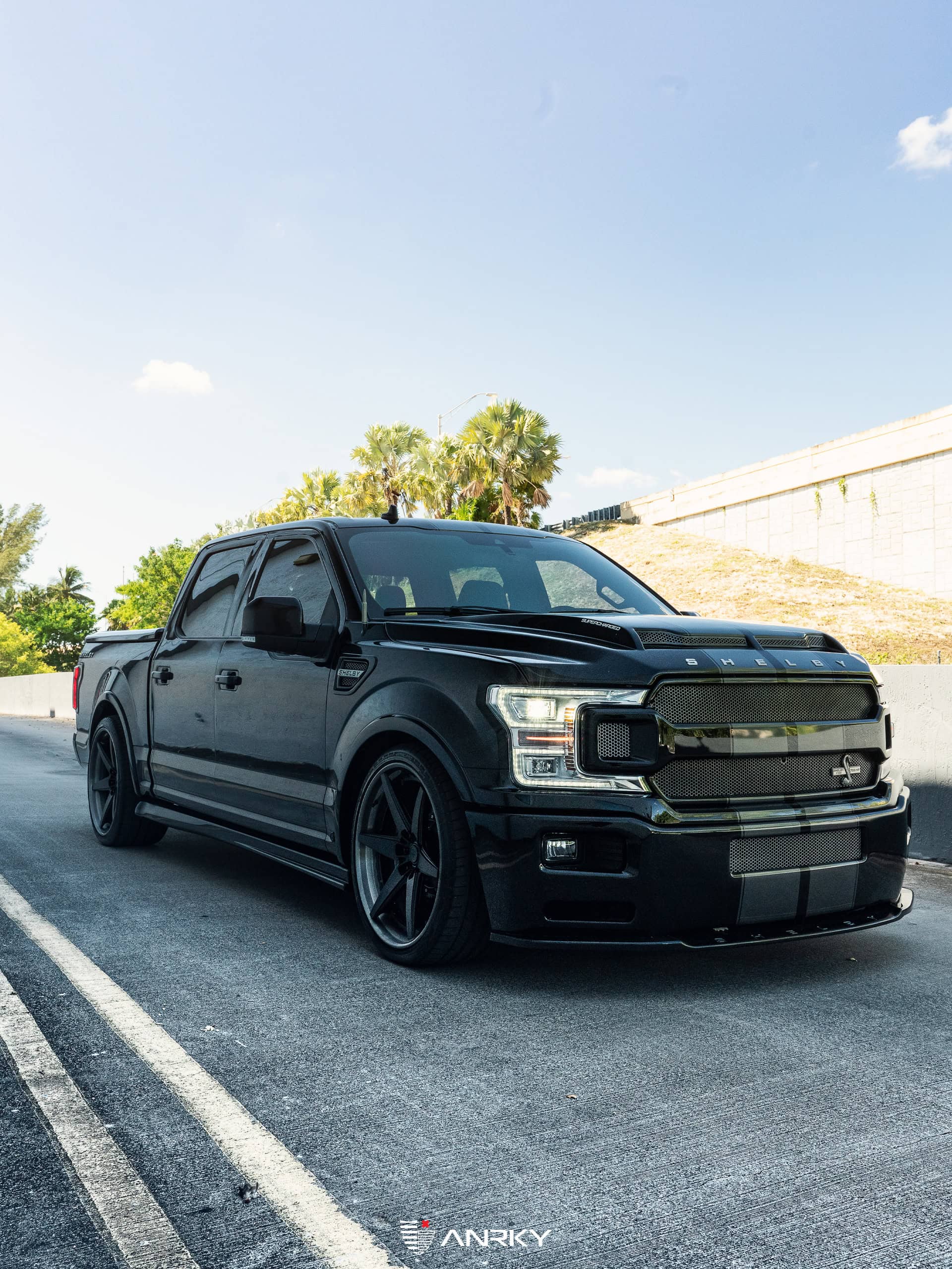 Shelby Ford F150 Super Snake | Agate Black | on ANRKY RS5.3 | Satin Black