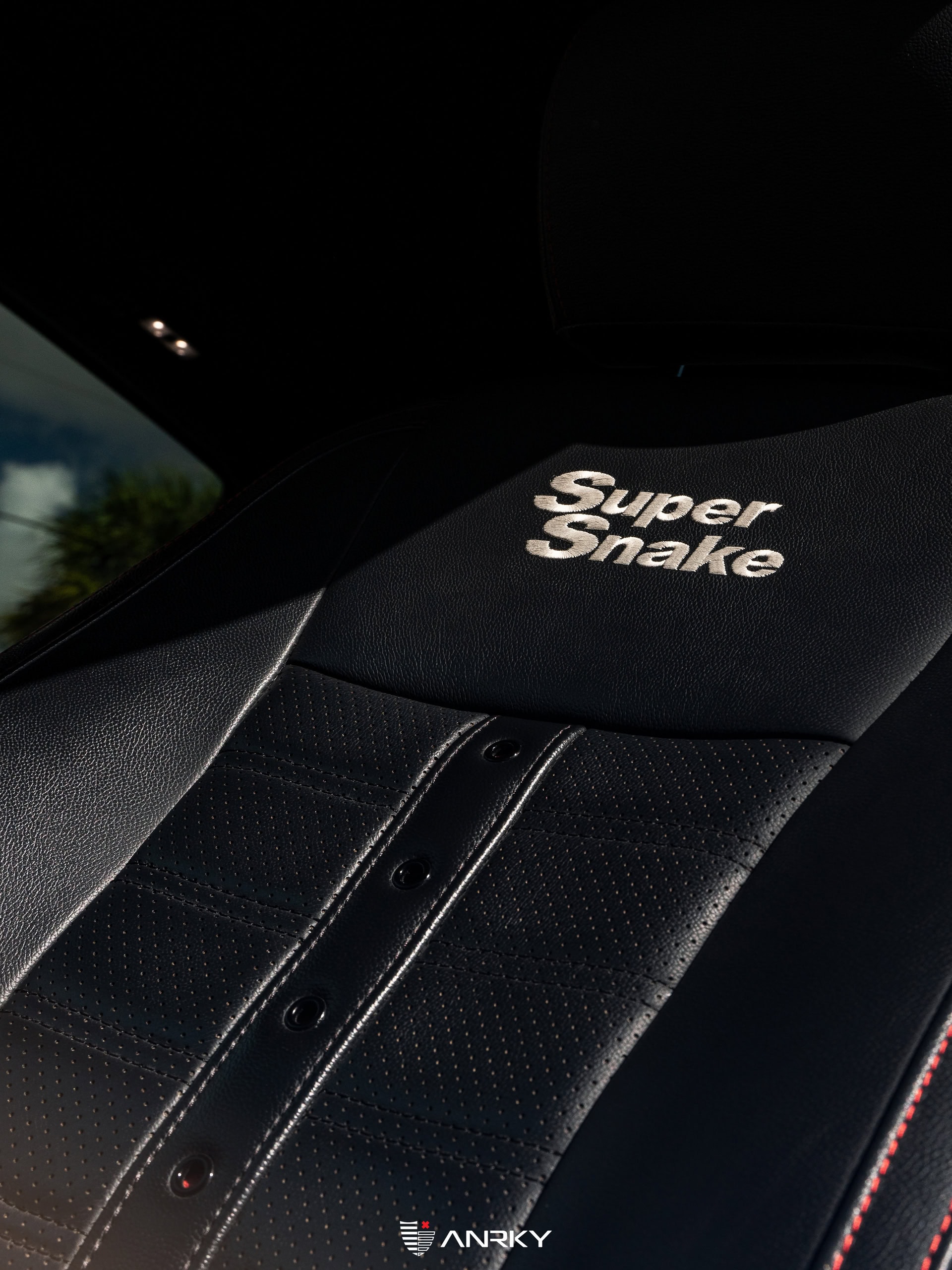 Photo 28 of Shelby Ford F150 Super Snake | Agate Black | on ANRKY RS5.3 | Satin Black
