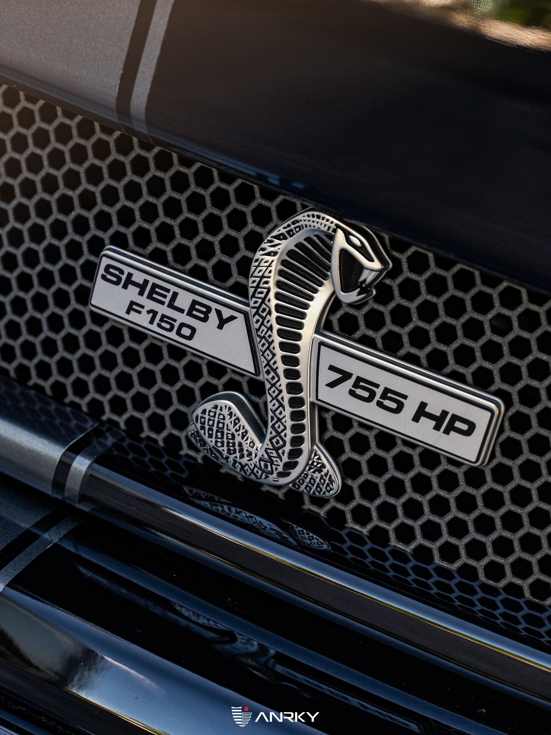 Photo 30 of Shelby Ford F150 Super Snake | Agate Black | on ANRKY RS5.3 | Satin Black