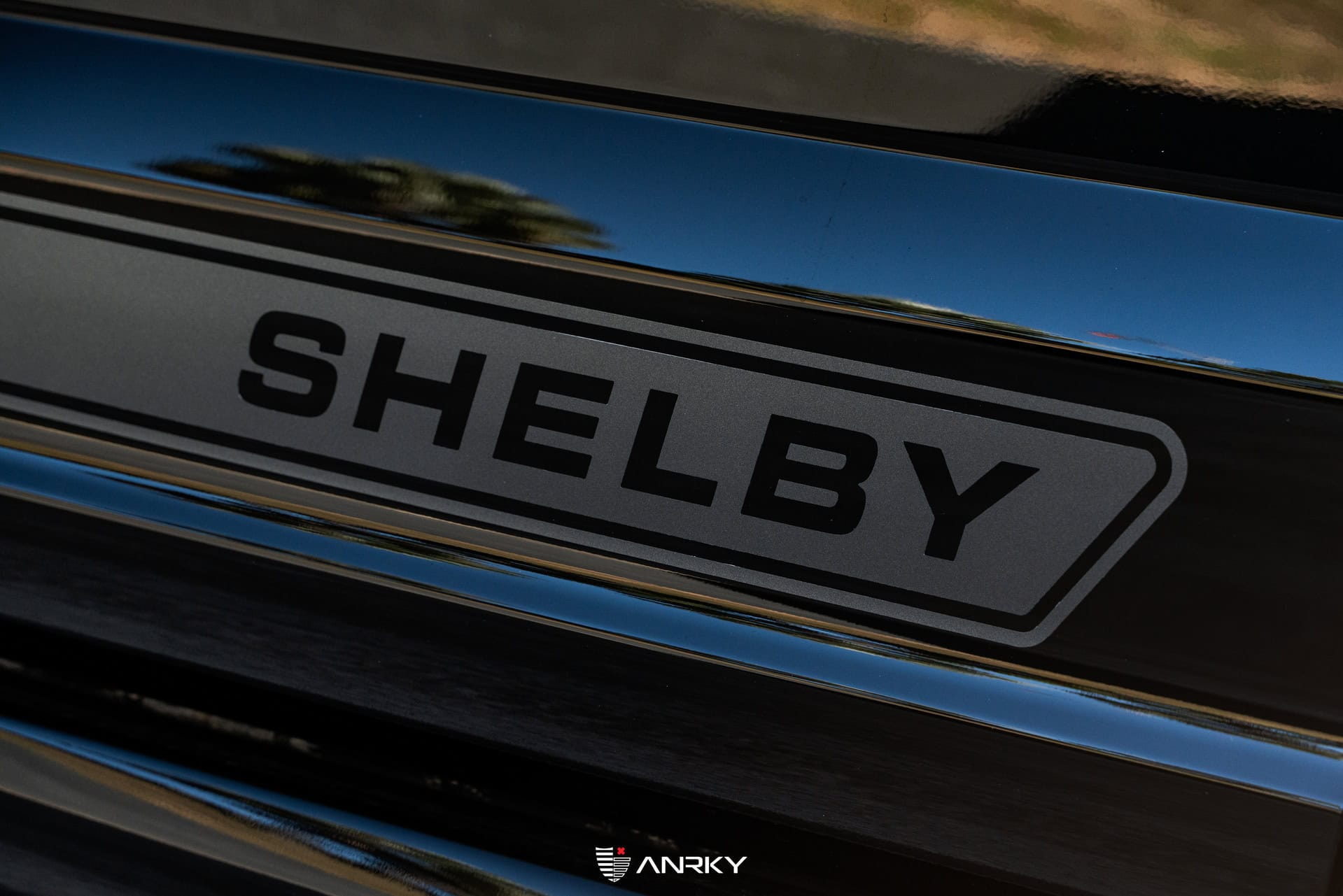 Photo 33 of Shelby Ford F150 Super Snake | Agate Black | on ANRKY RS5.3 | Satin Black