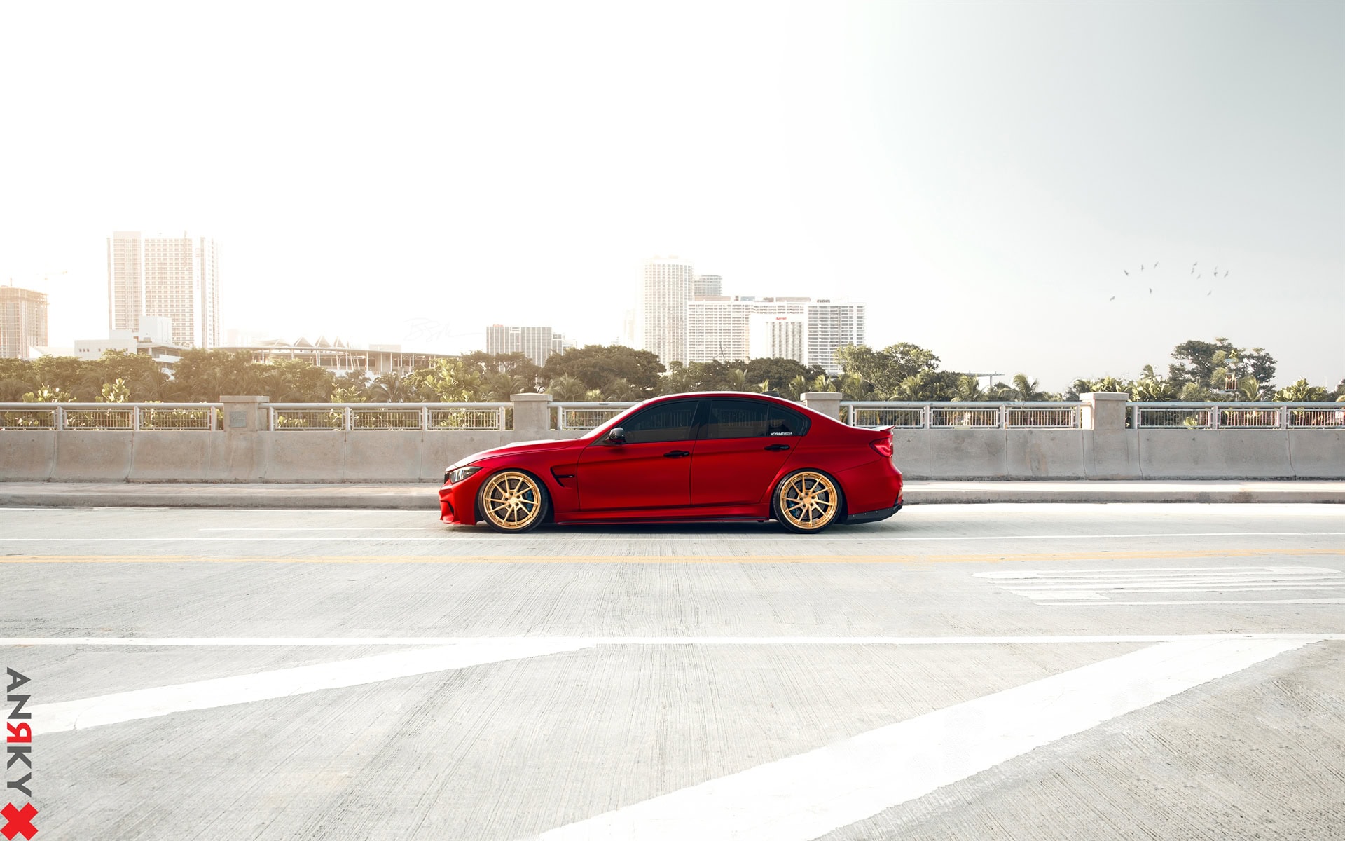 ANRKY AN33 | BMW F80 M3
