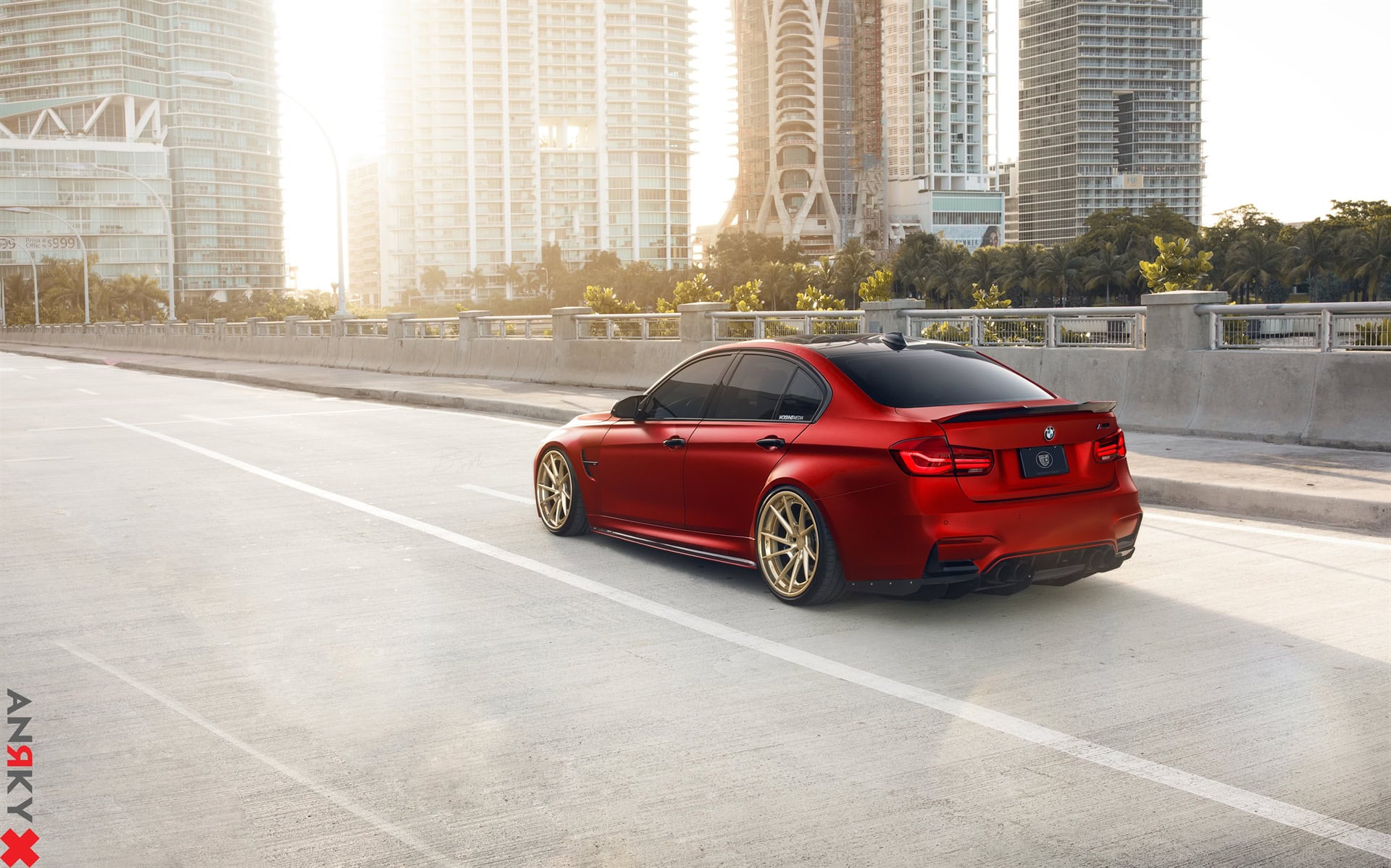 ANRKY AN33 | BMW F80 M3