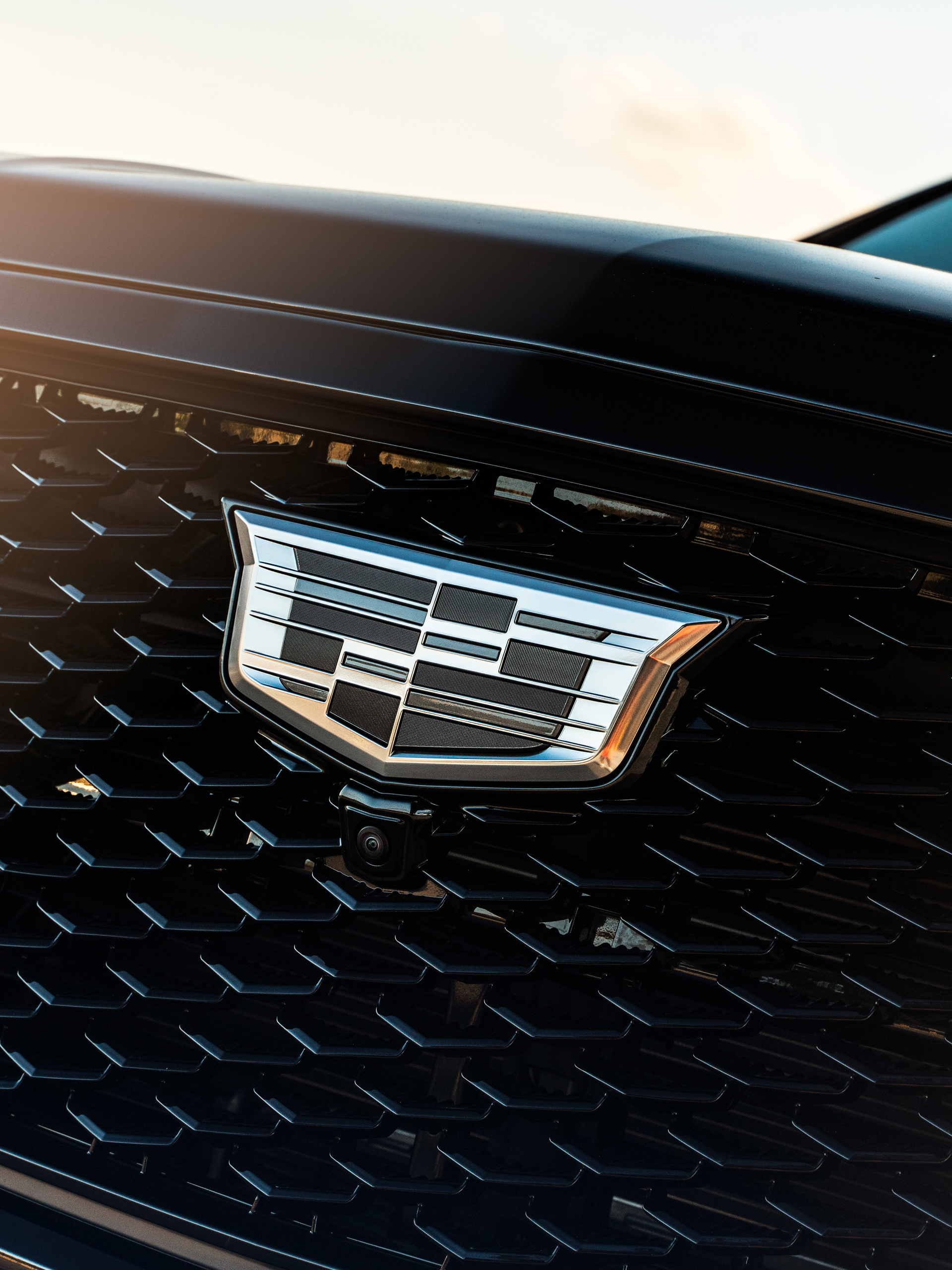 Cadillac Escalade on 1886 Wheels