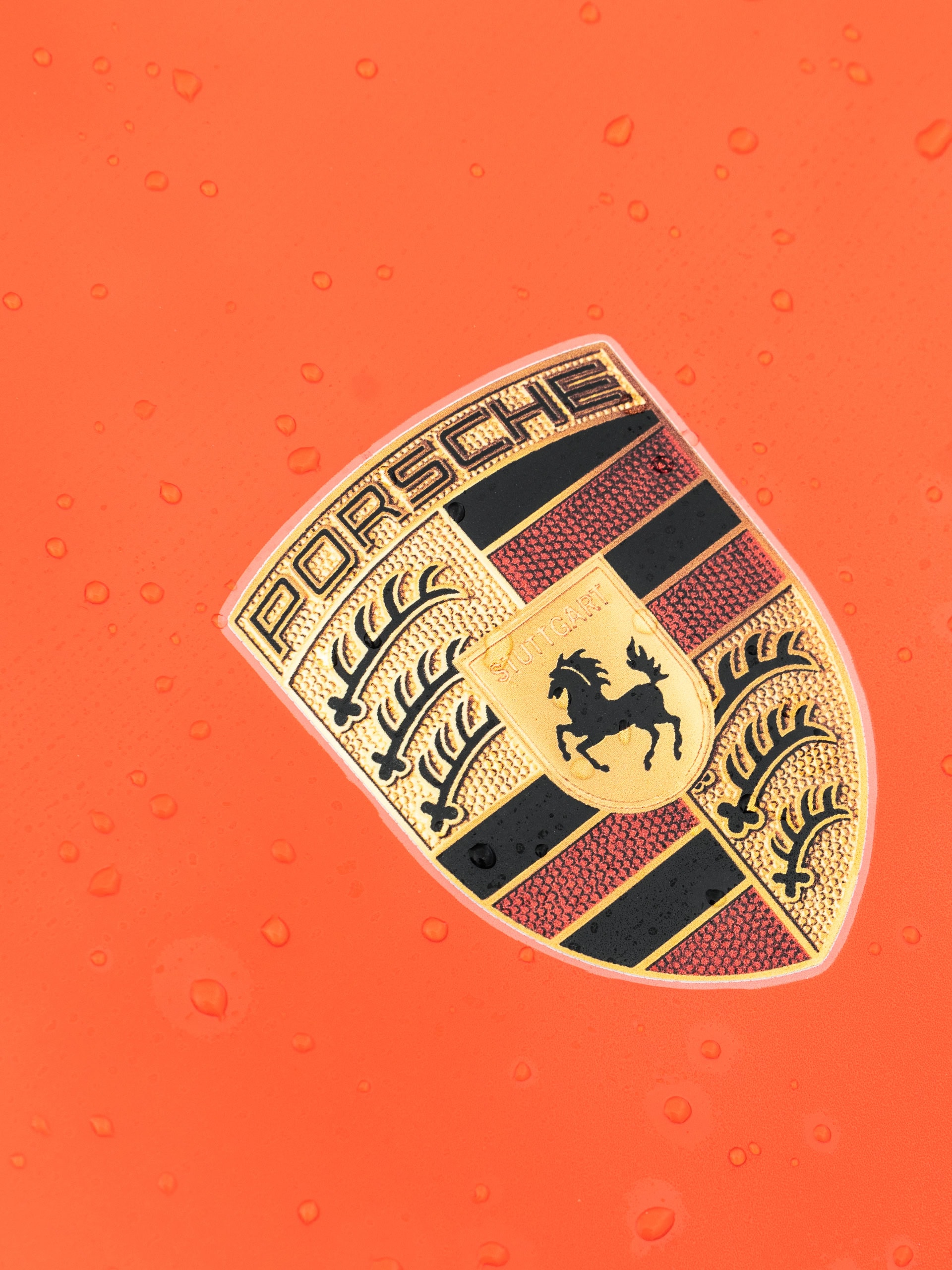 Photo 32 of Porsche 991 GT3 RS | Lava Orange | on 1886 S014 | Brushed Clear