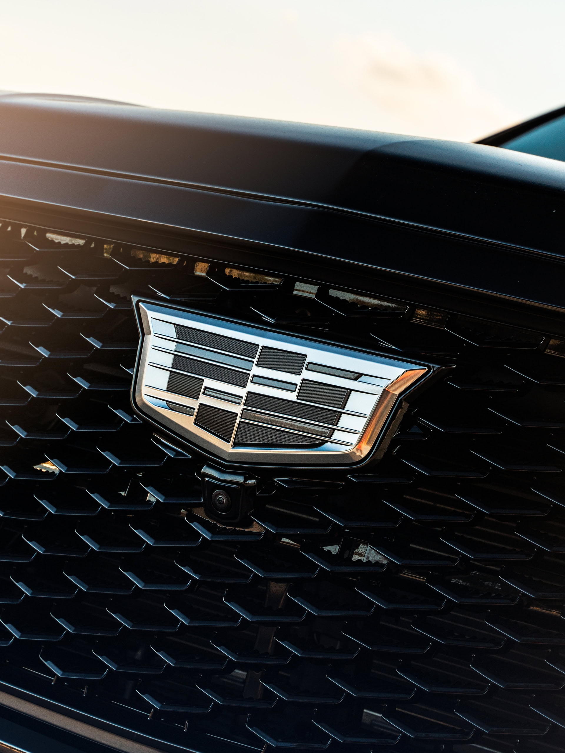 Cadillac Escalade | Black Raven | on 1886 G007 | Gloss Black