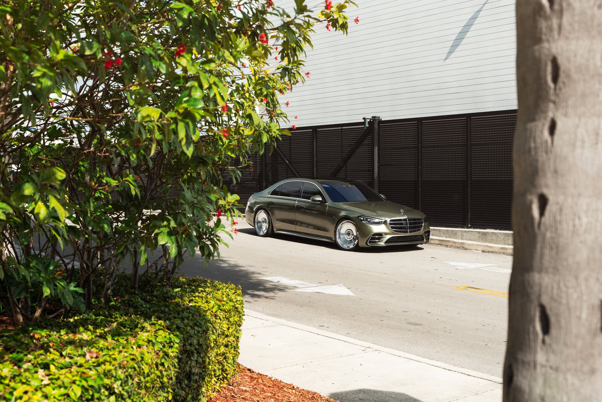 Merecedes Benz W223 S580 | on Avant Garde  AGL93 | Polished Clear
