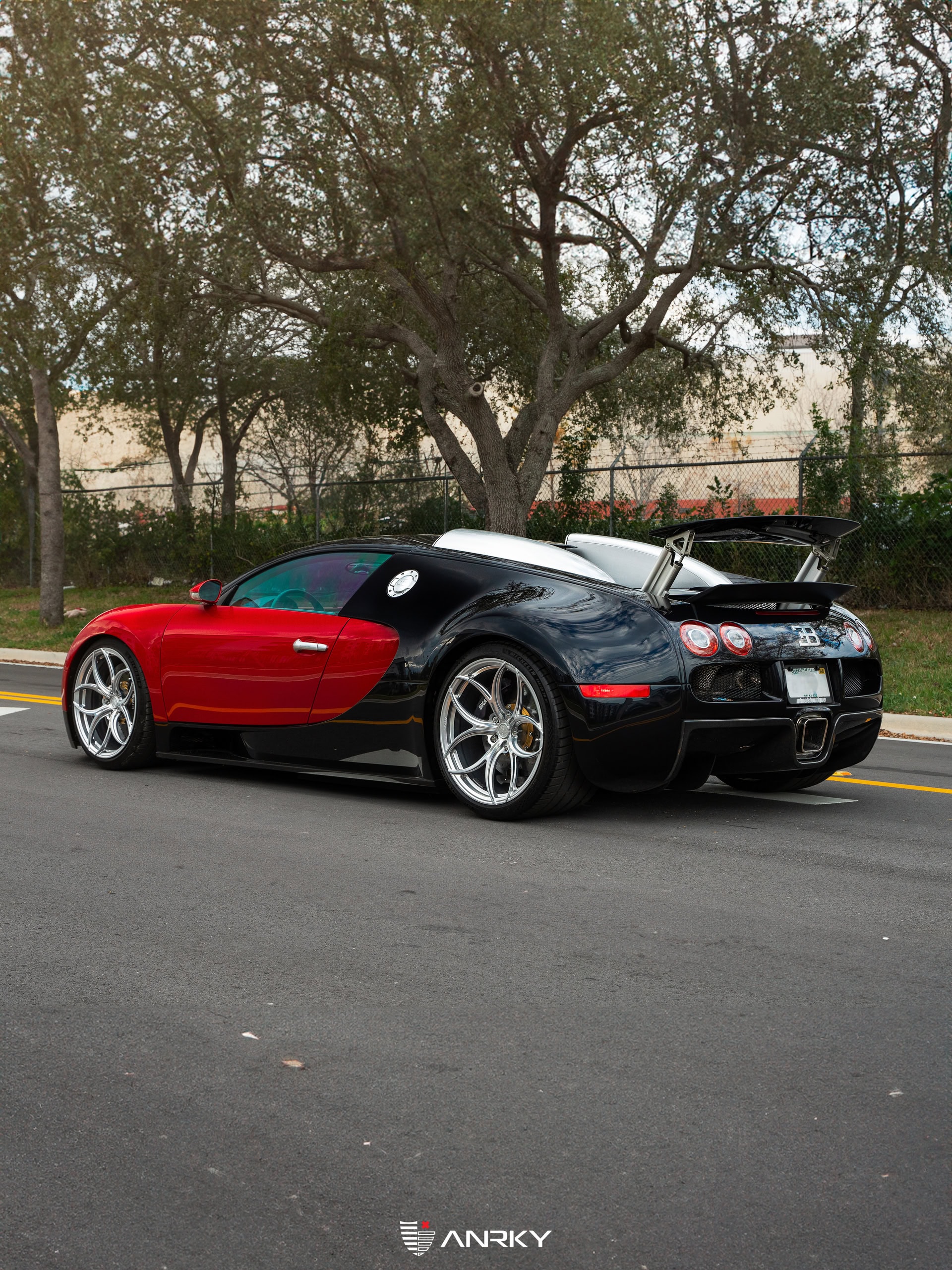 Photo 24 of Bugatti Veyron | on ANRKY S1-X0 | Frozen Polished Clear