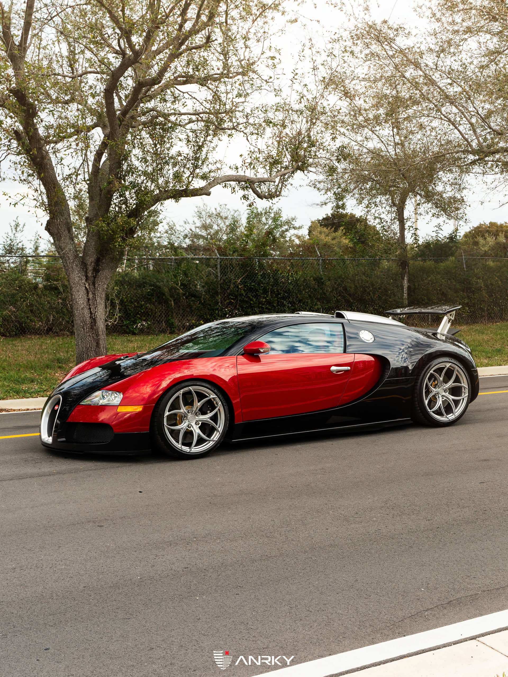 Photo 32 of Bugatti Veyron | on ANRKY S1-X0 | Frozen Polished Clear