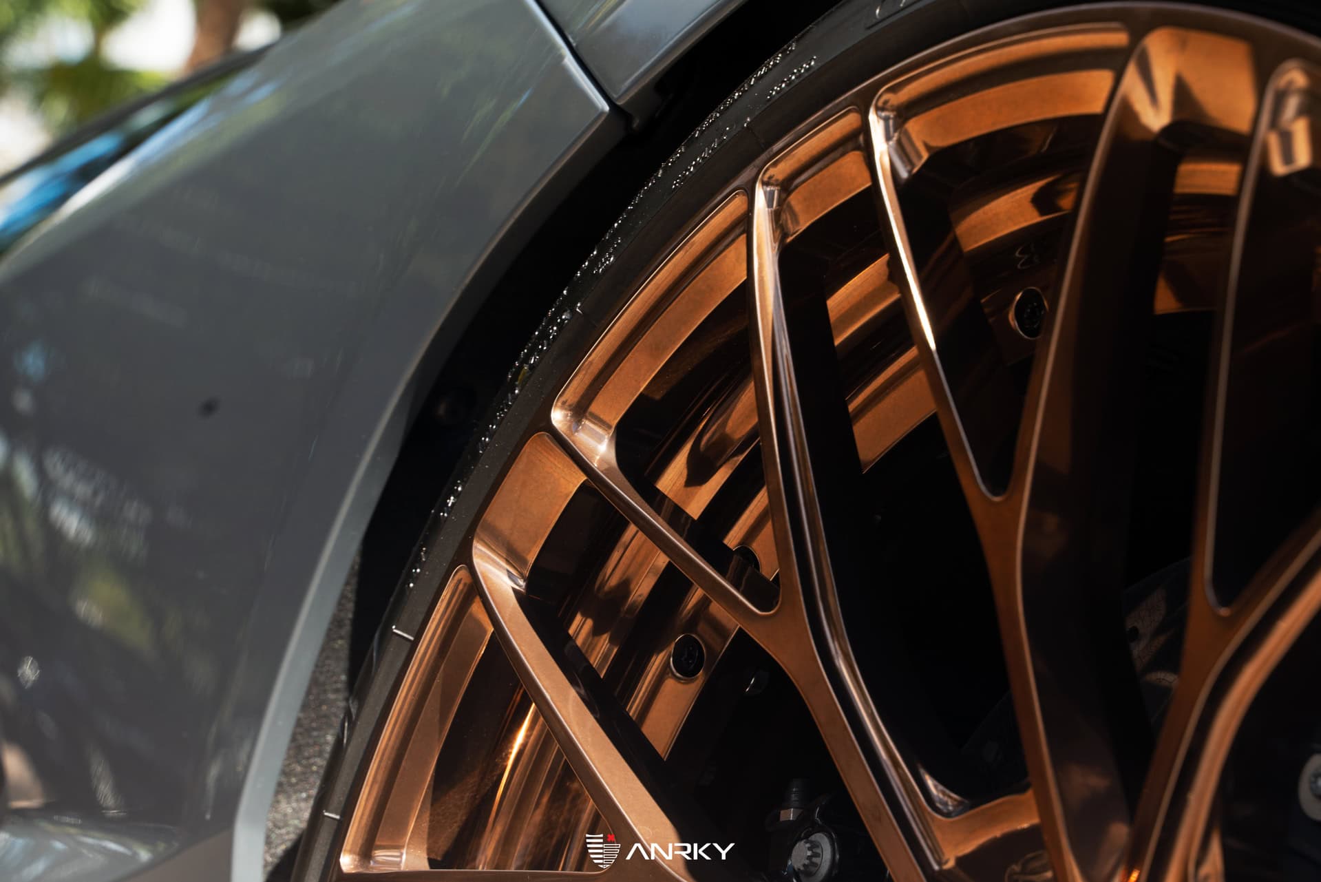 Photo 29 of VORSTEINER Revuelto | on ANRKY AN20 | Polished Bronze