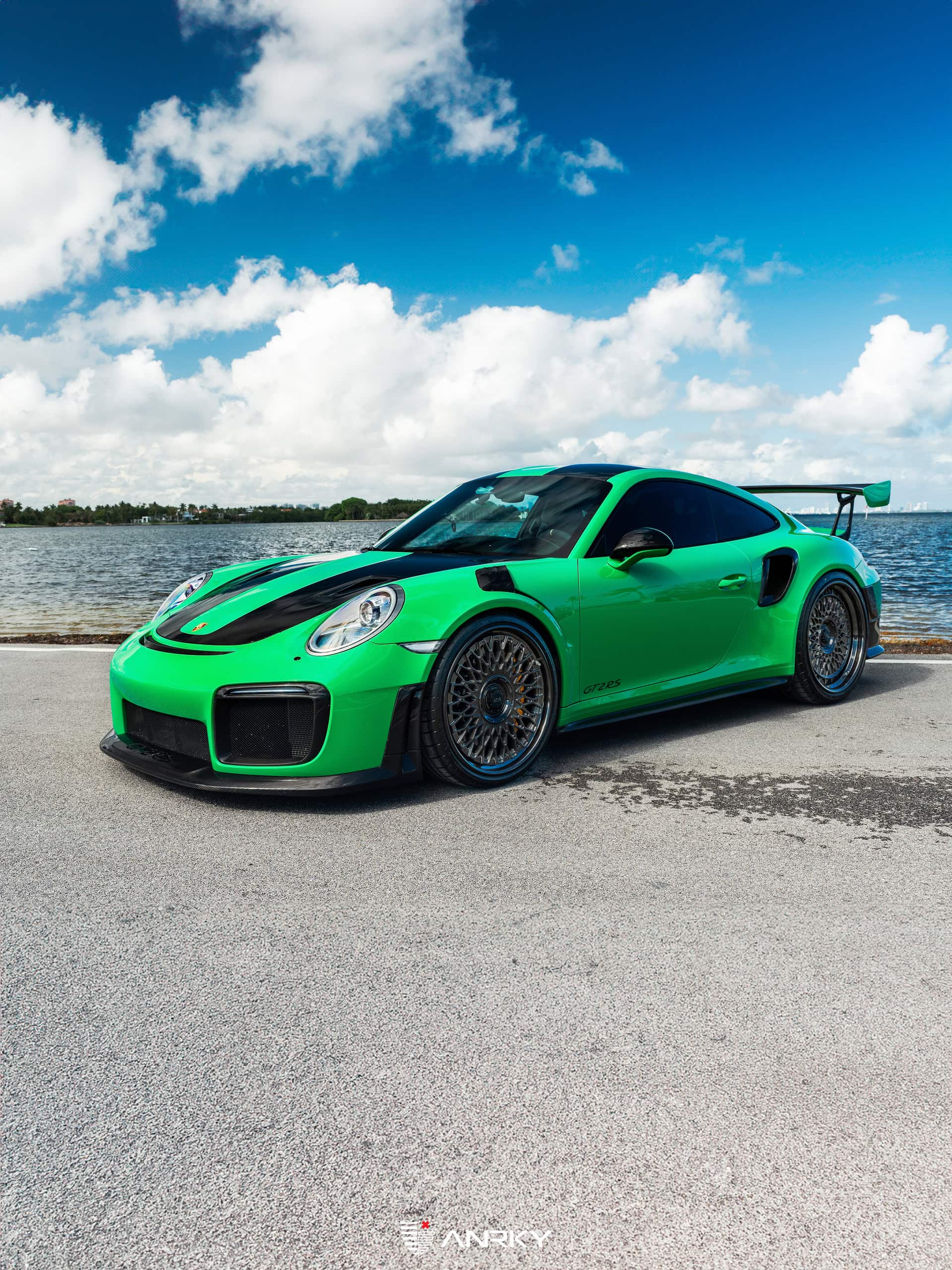 Photo 24 of Porsche 991 GT2RS | Lizard Green | on ANRKY RS7.3 + AEROSport | Brushed Smoke