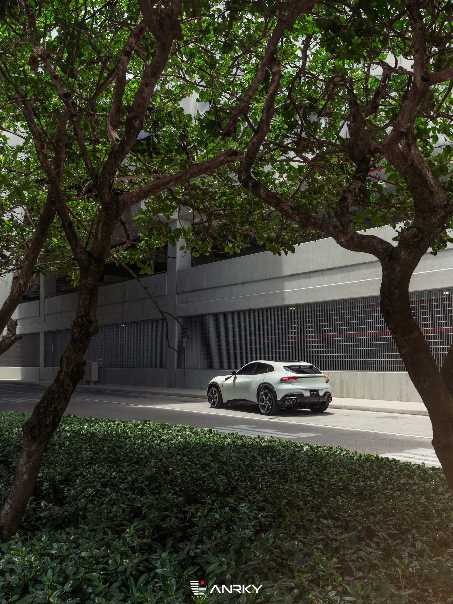 Ferrari Purosangue – XR|Series XR-205