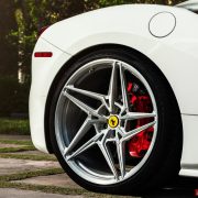 Thumbnail 14
