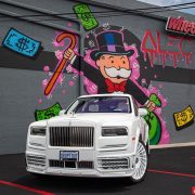Thumbnail 15