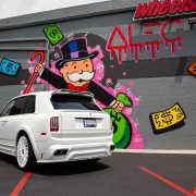 Thumbnail 19