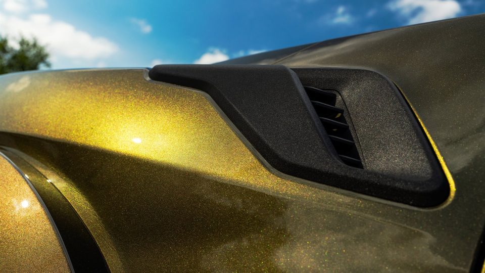 ANRKY AN36 Satin Brushed Champange | Ford Raptor R