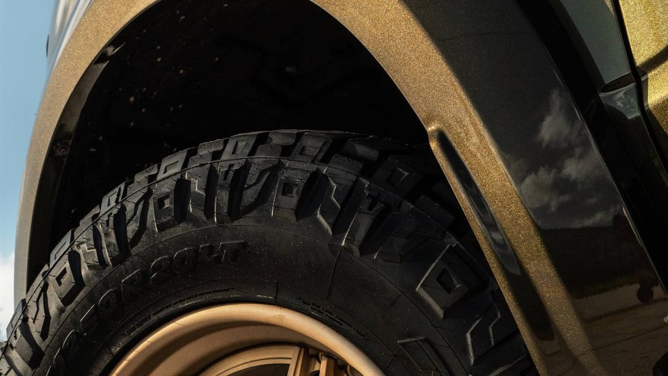 ANRKY AN36 Satin Brushed Champange | Ford Raptor R