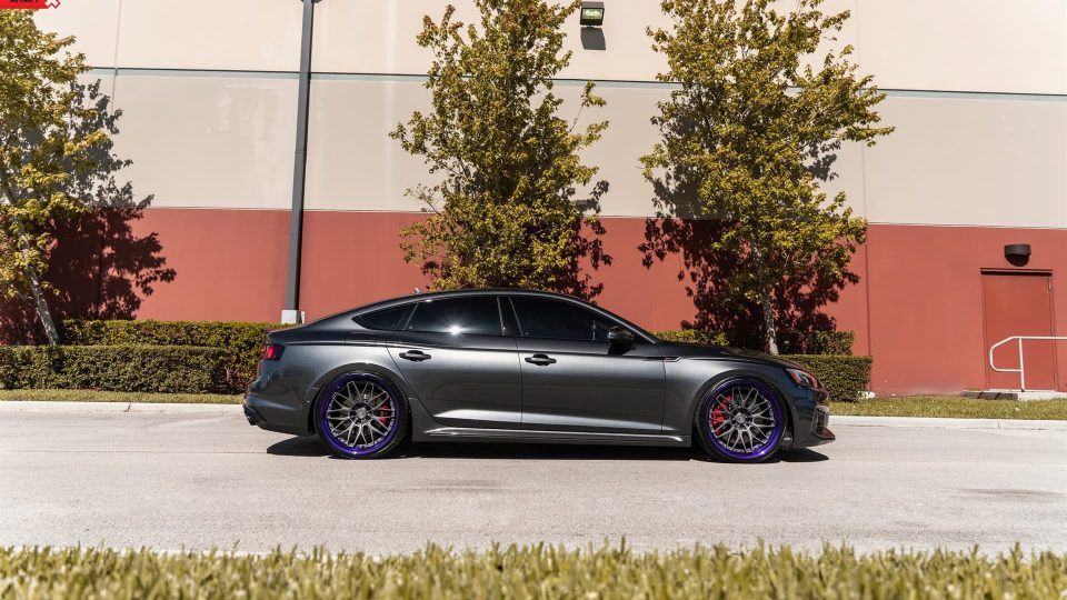 ANRKY RS1 | Audi RS5 Sportback