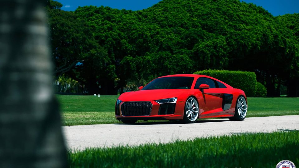 HRE P201 | Audi R8 V10 (2017)