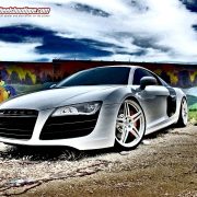 Thumbnail 13