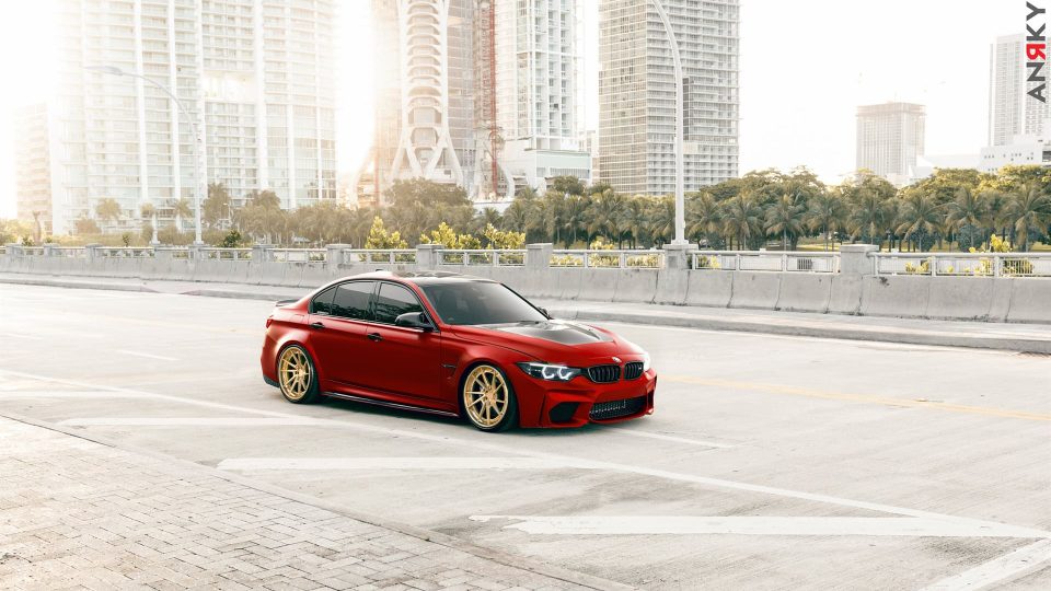 ANRKY AN33 | BMW F80 M3