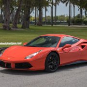 Thumbnail 11