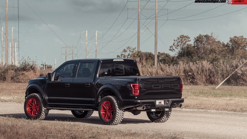 ANRKY AN36 | Ford F150 Raptor