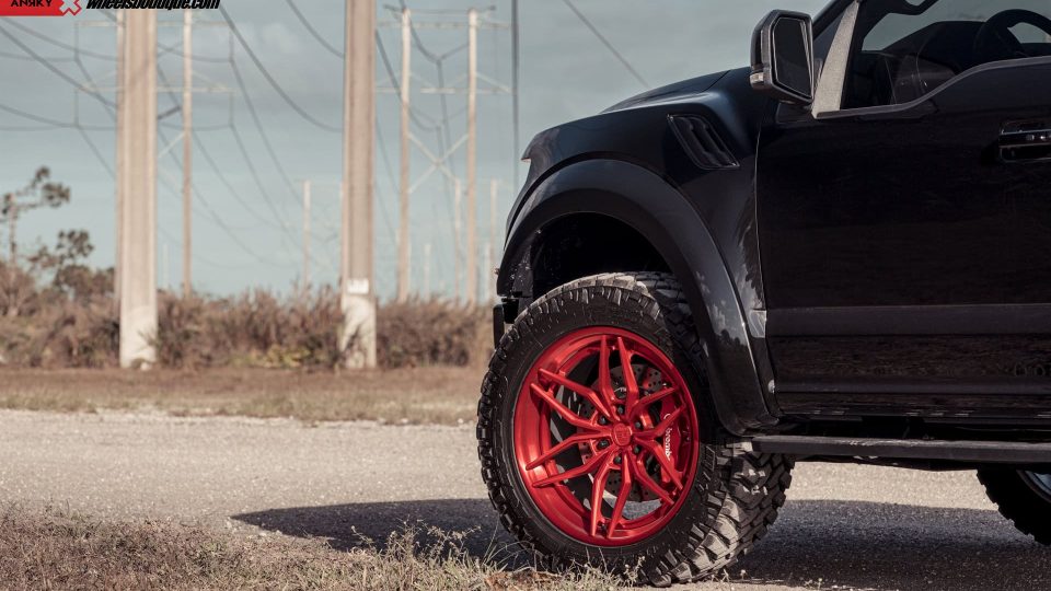 ANRKY AN36 | Ford F150 Raptor