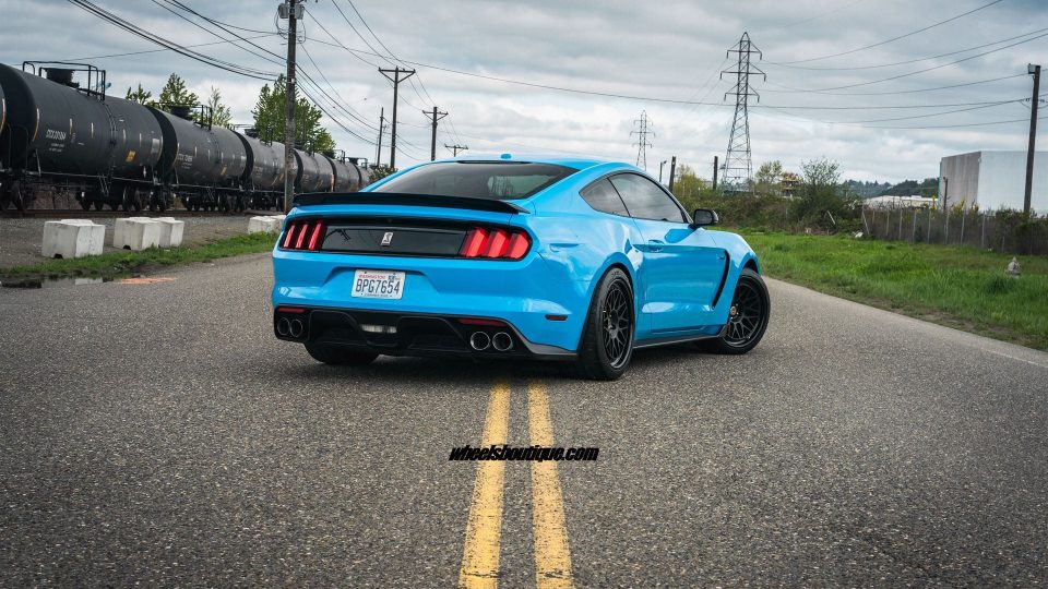 HRE Classic 300 | Ford Mustang GT350