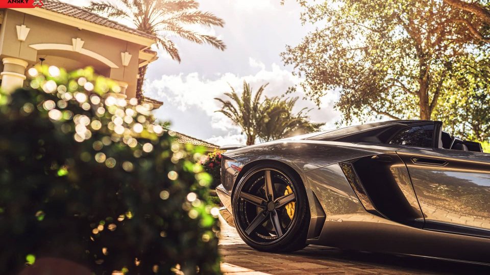 ANRKY AN35 | Lamborghini Aventador 1